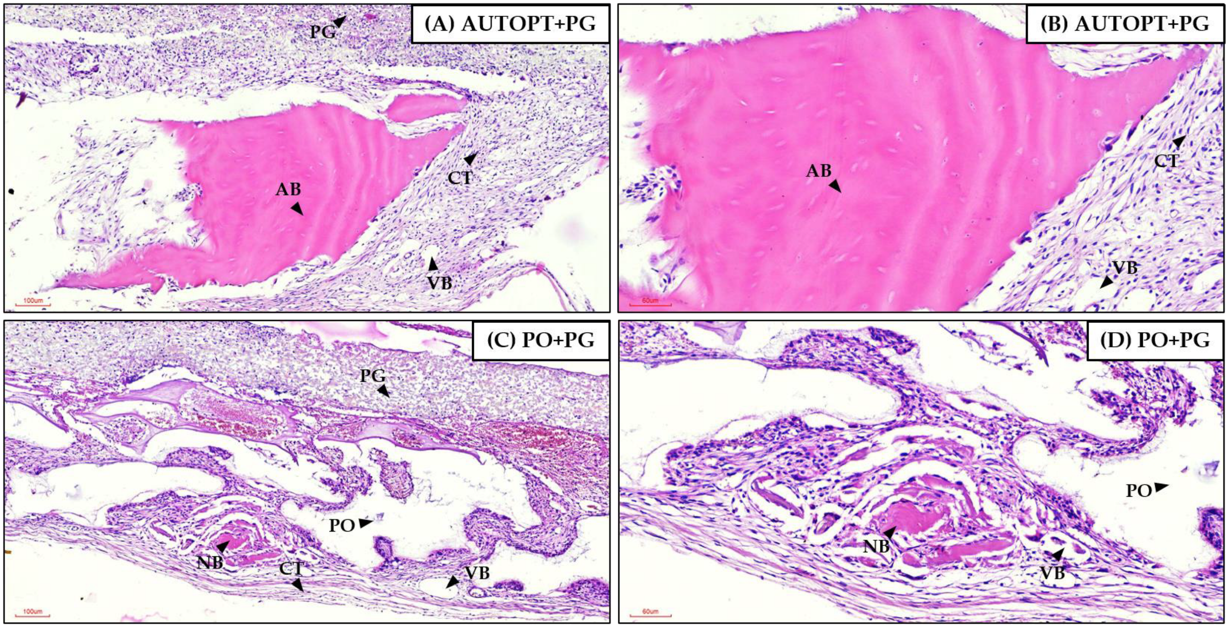 Biomimetics 09 00284 g007 Biomimetics 09 00284 g007