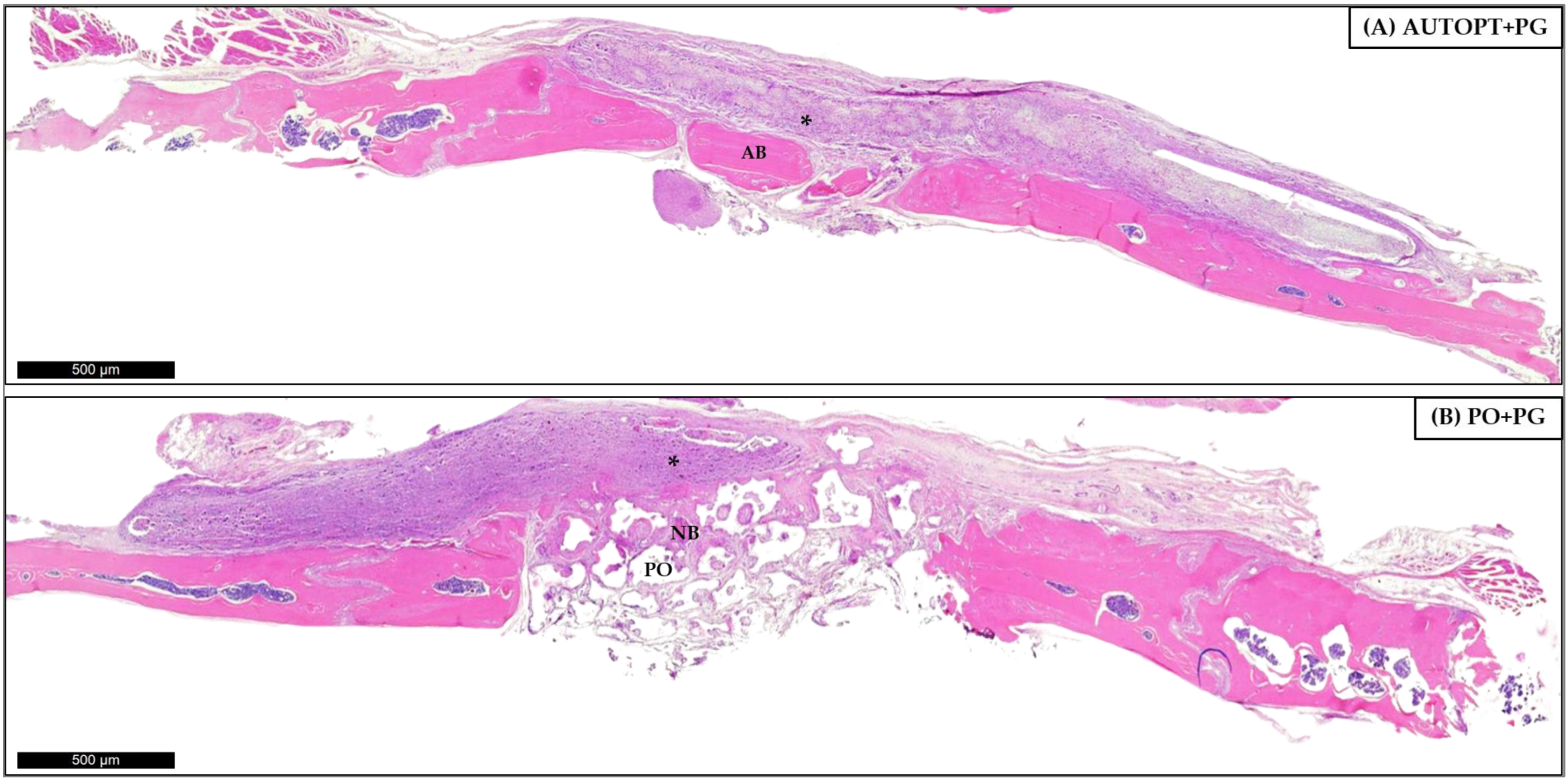 Biomimetics 09 00284 g008 Biomimetics 09 00284 g008