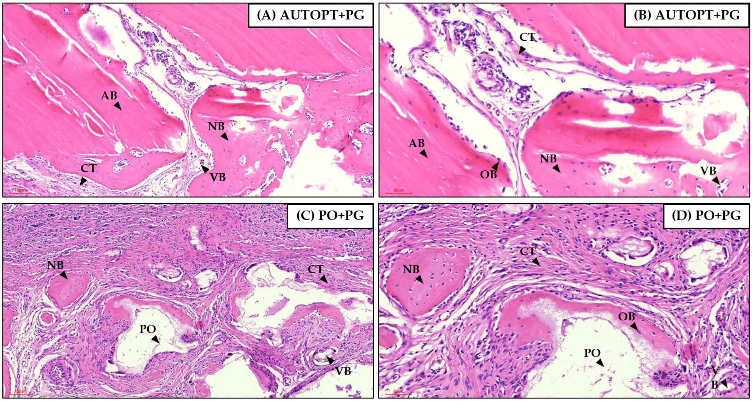 Biomimetics 09 00284 g009 Biomimetics 09 00284 g009