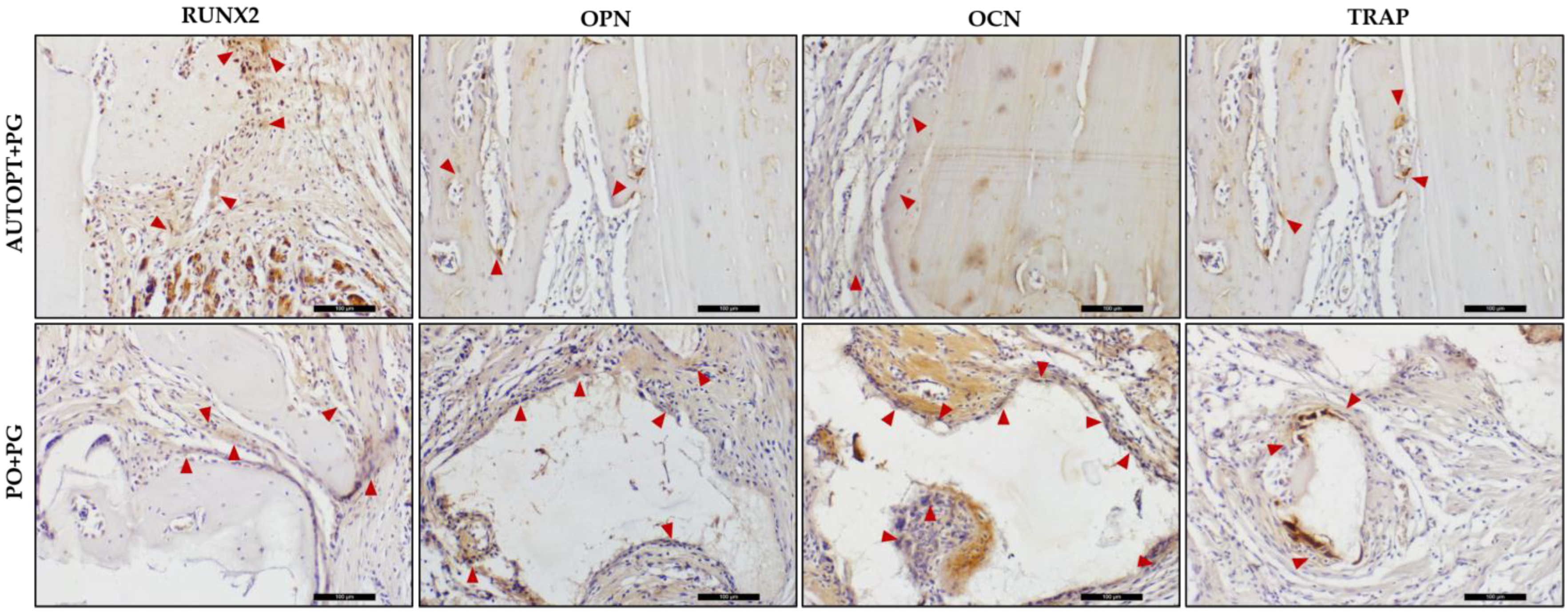 Biomimetics 09 00284 g010 Biomimetics 09 00284 g010