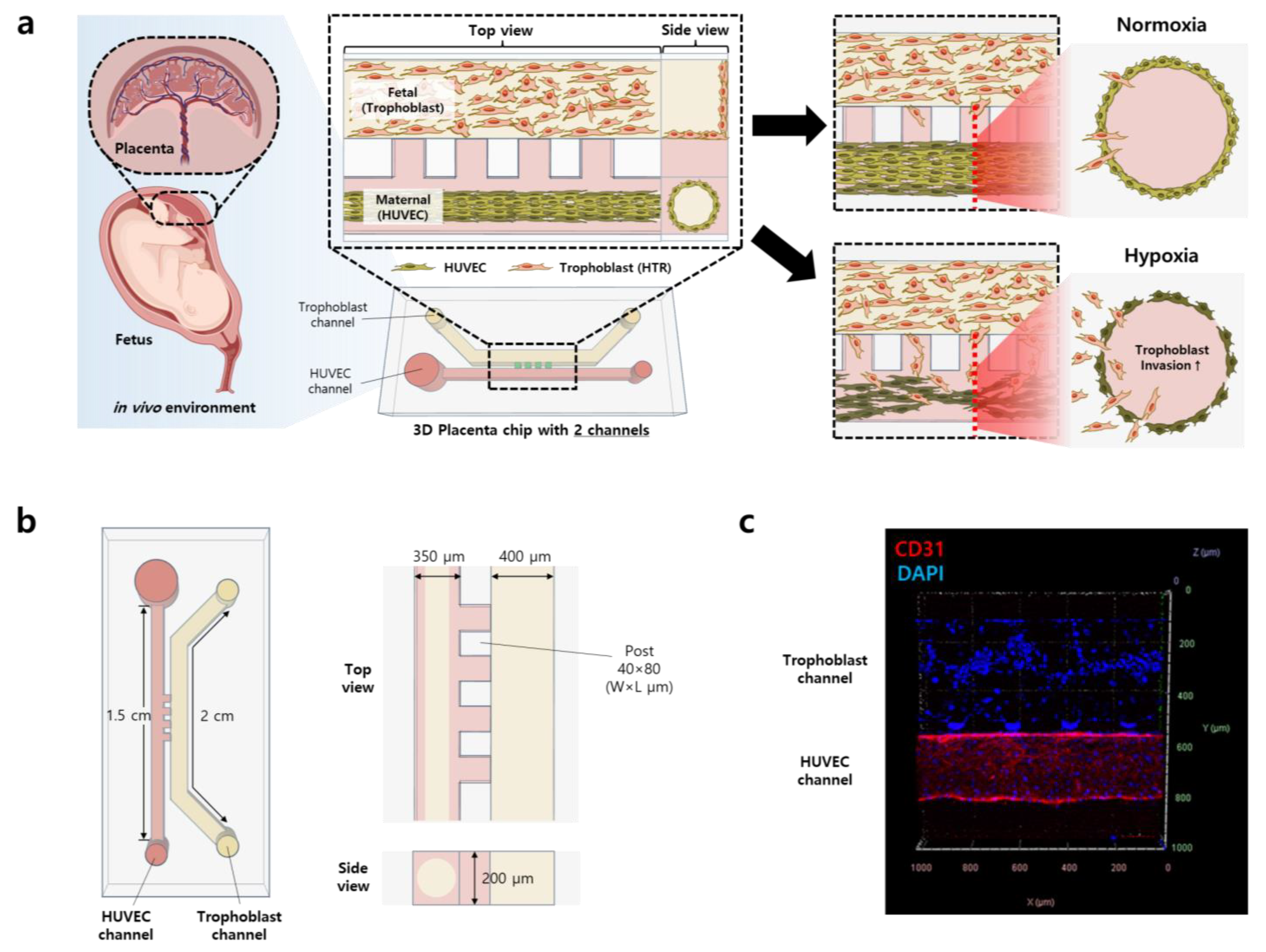 Biomimetics 09 00289 g001