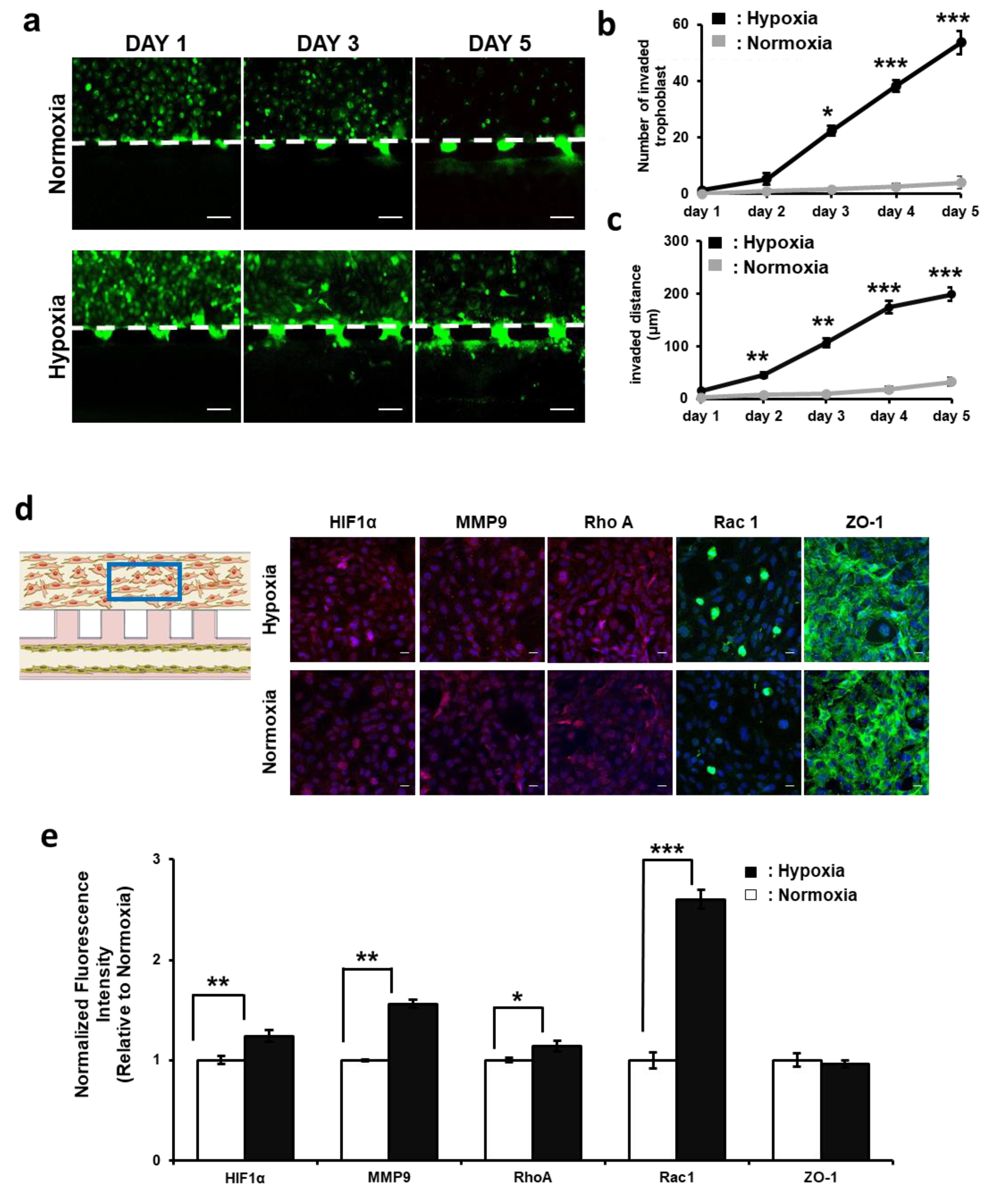 Biomimetics 09 00289 g003