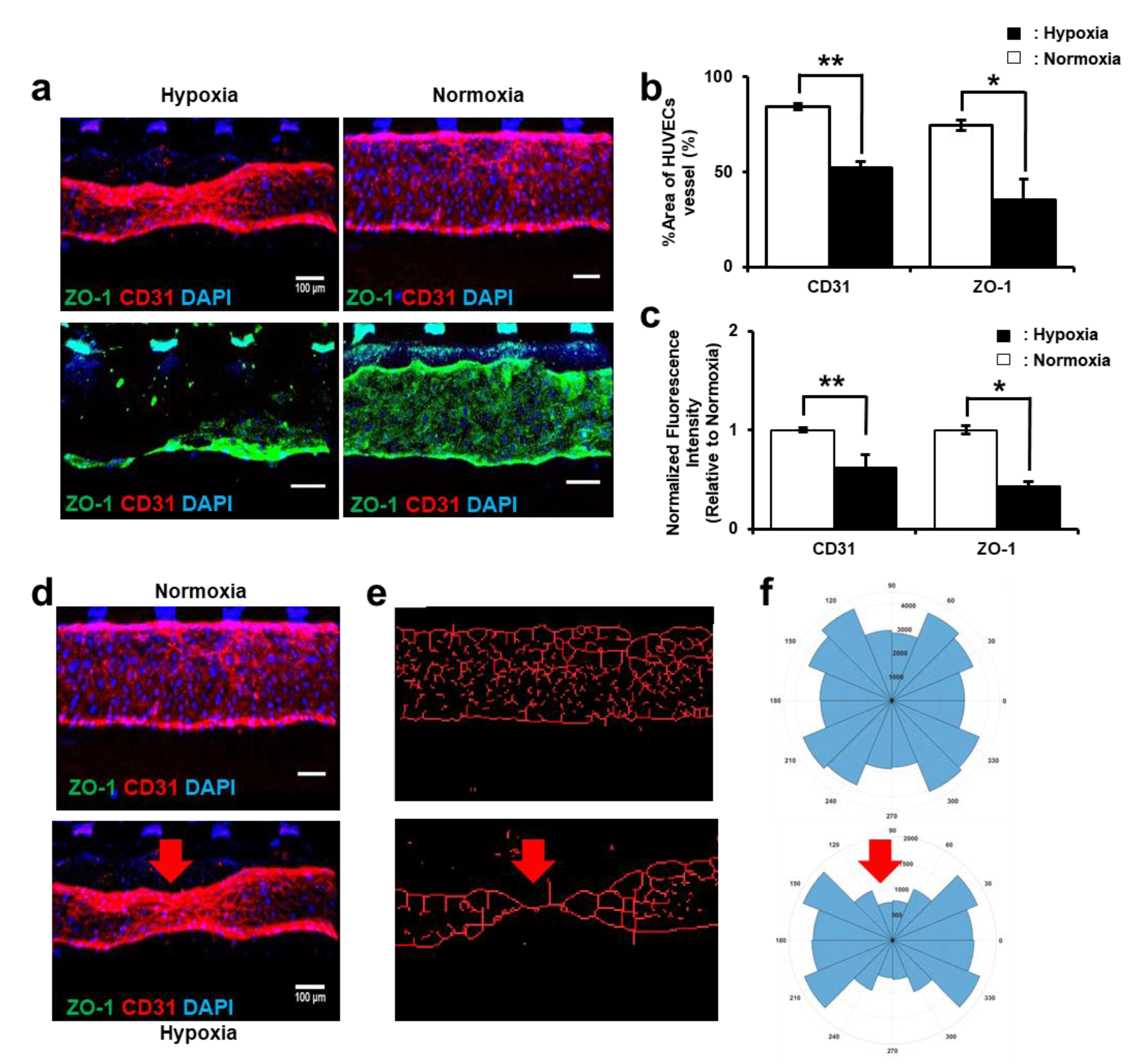 Biomimetics 09 00289 g004