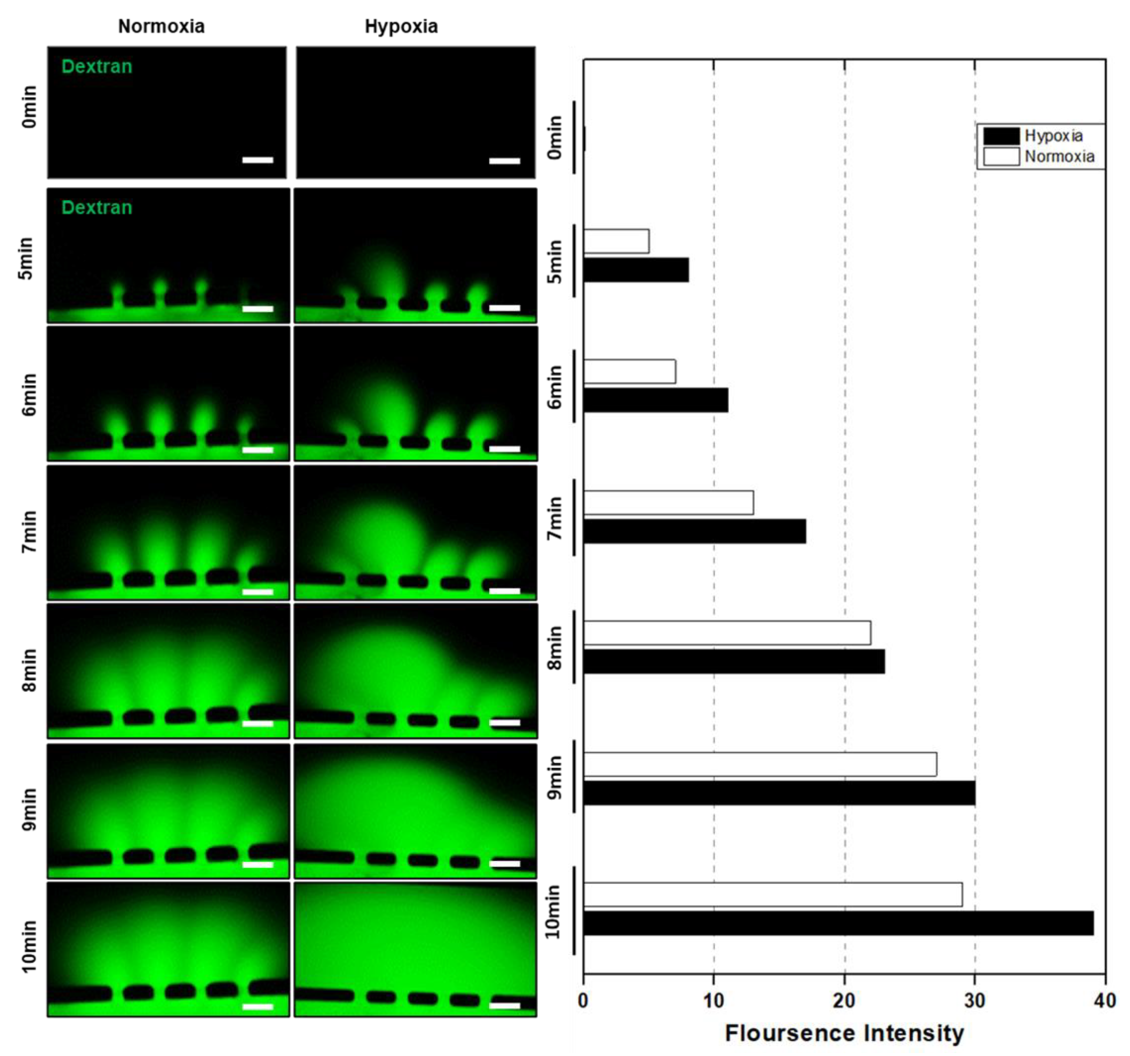 Biomimetics 09 00289 g005