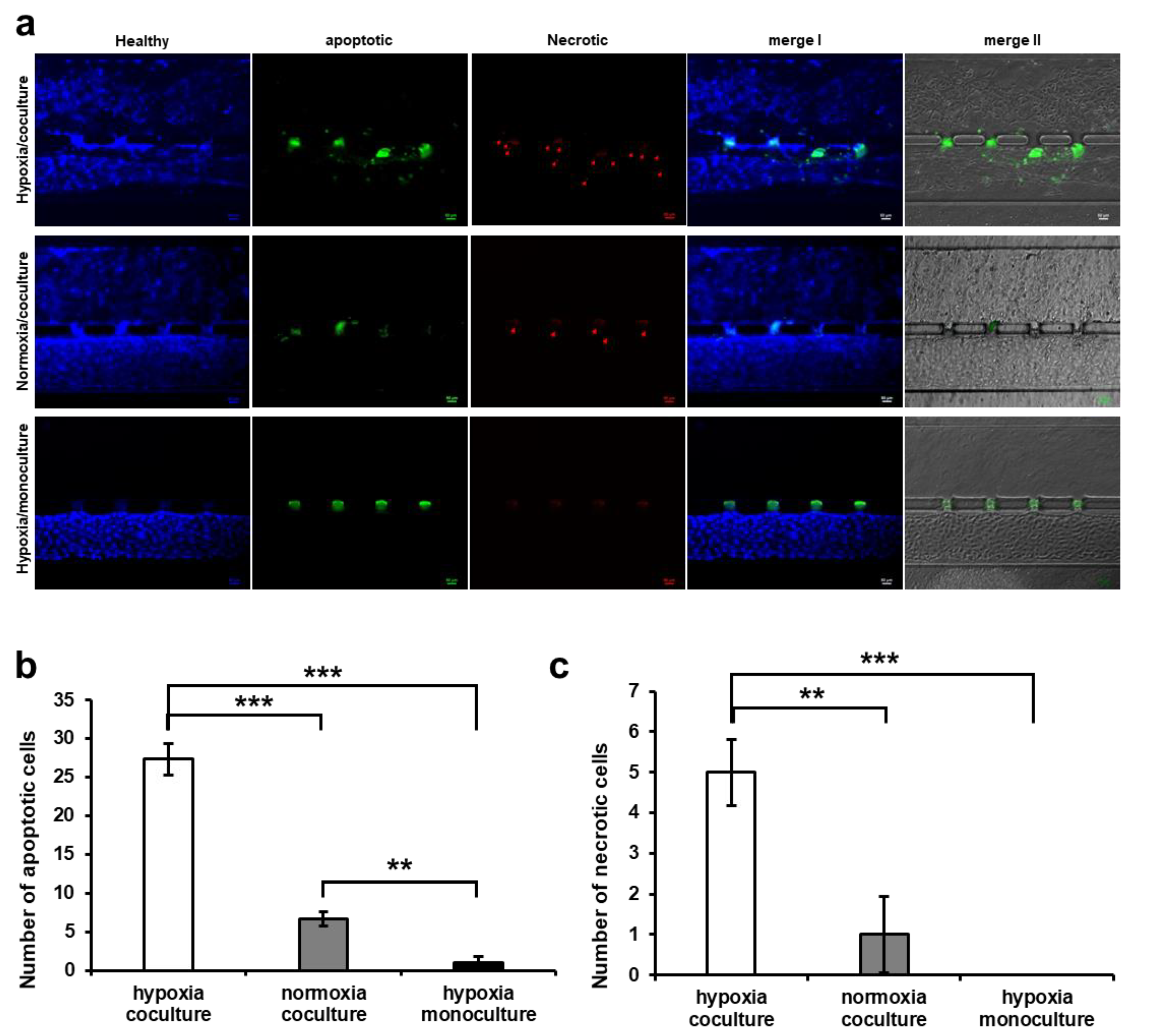Biomimetics 09 00289 g006