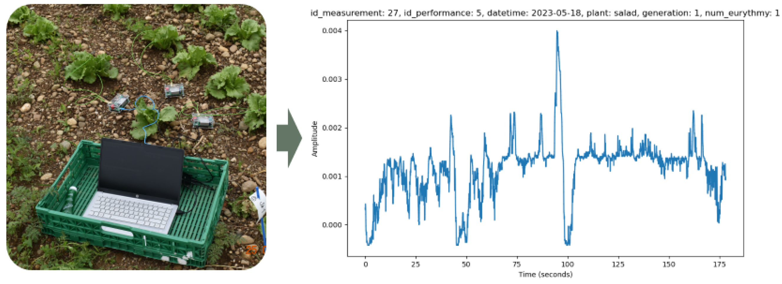 Biomimetics 09 00290 g002