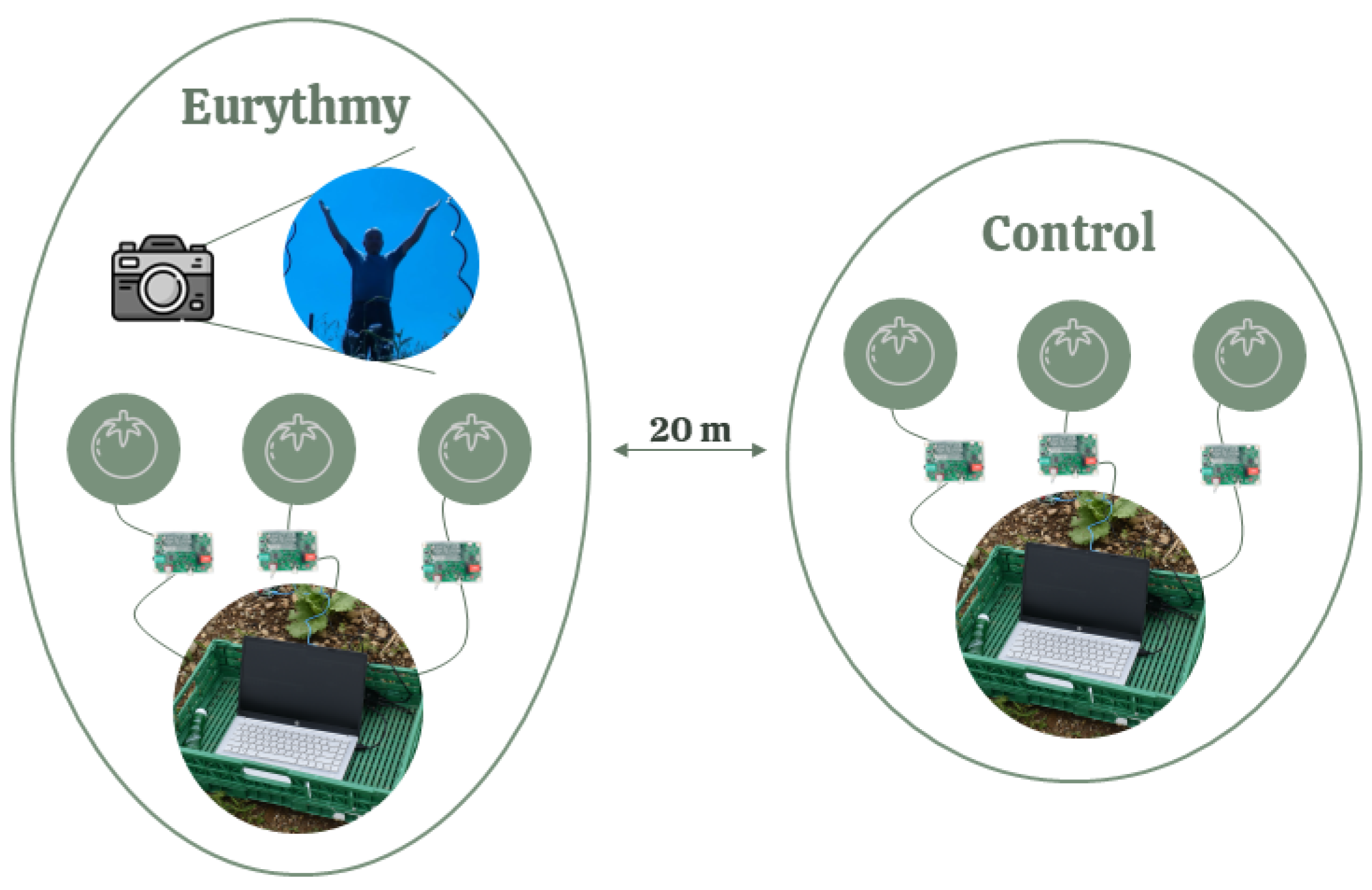 Biomimetics 09 00290 g003