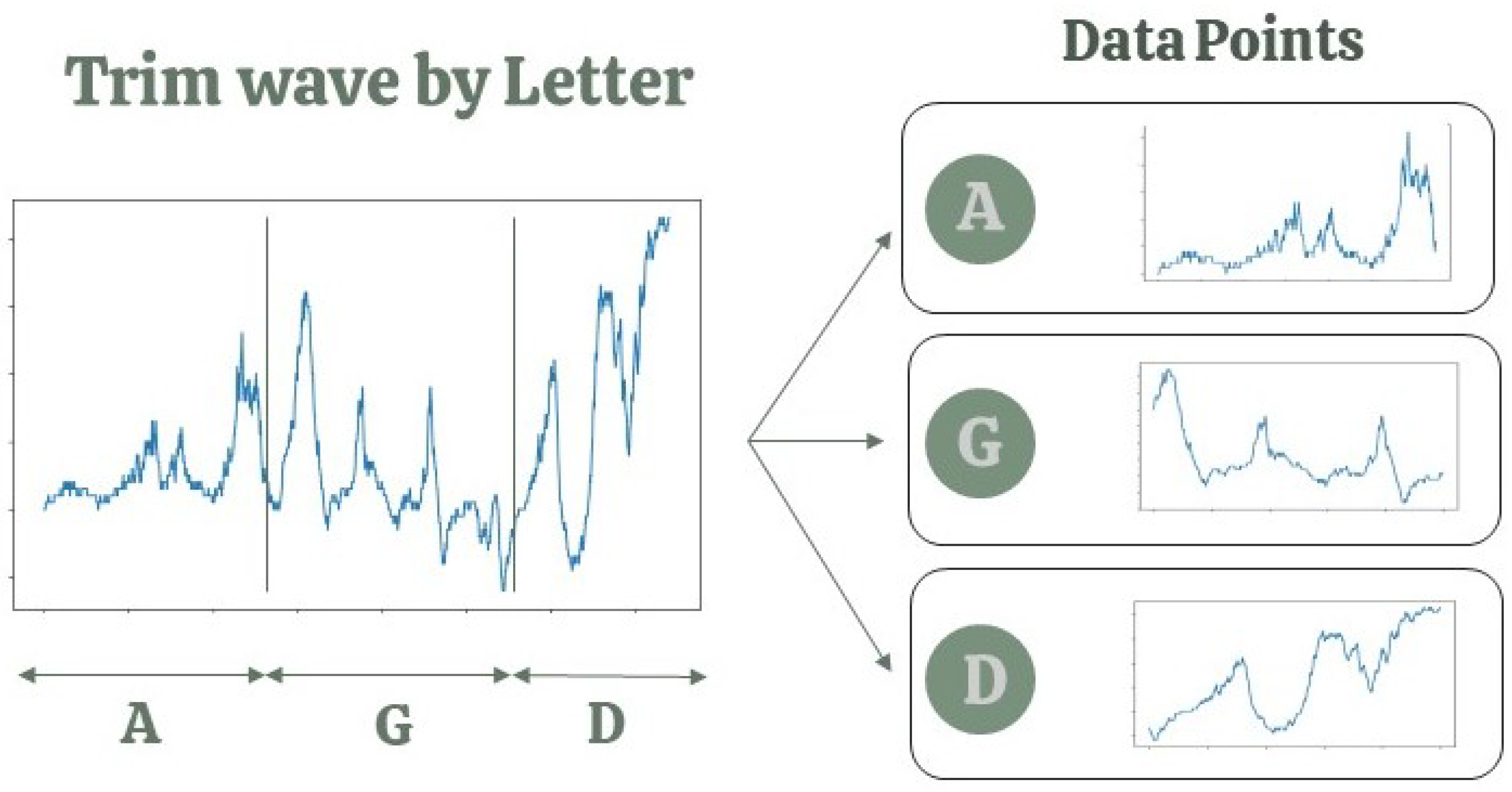 Biomimetics 09 00290 g005