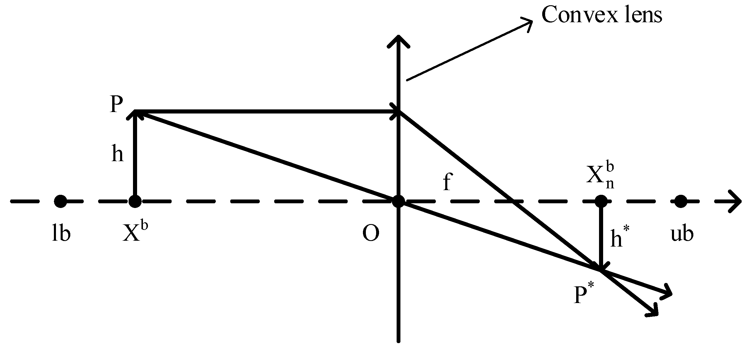 Biomimetics 09 00291 g004