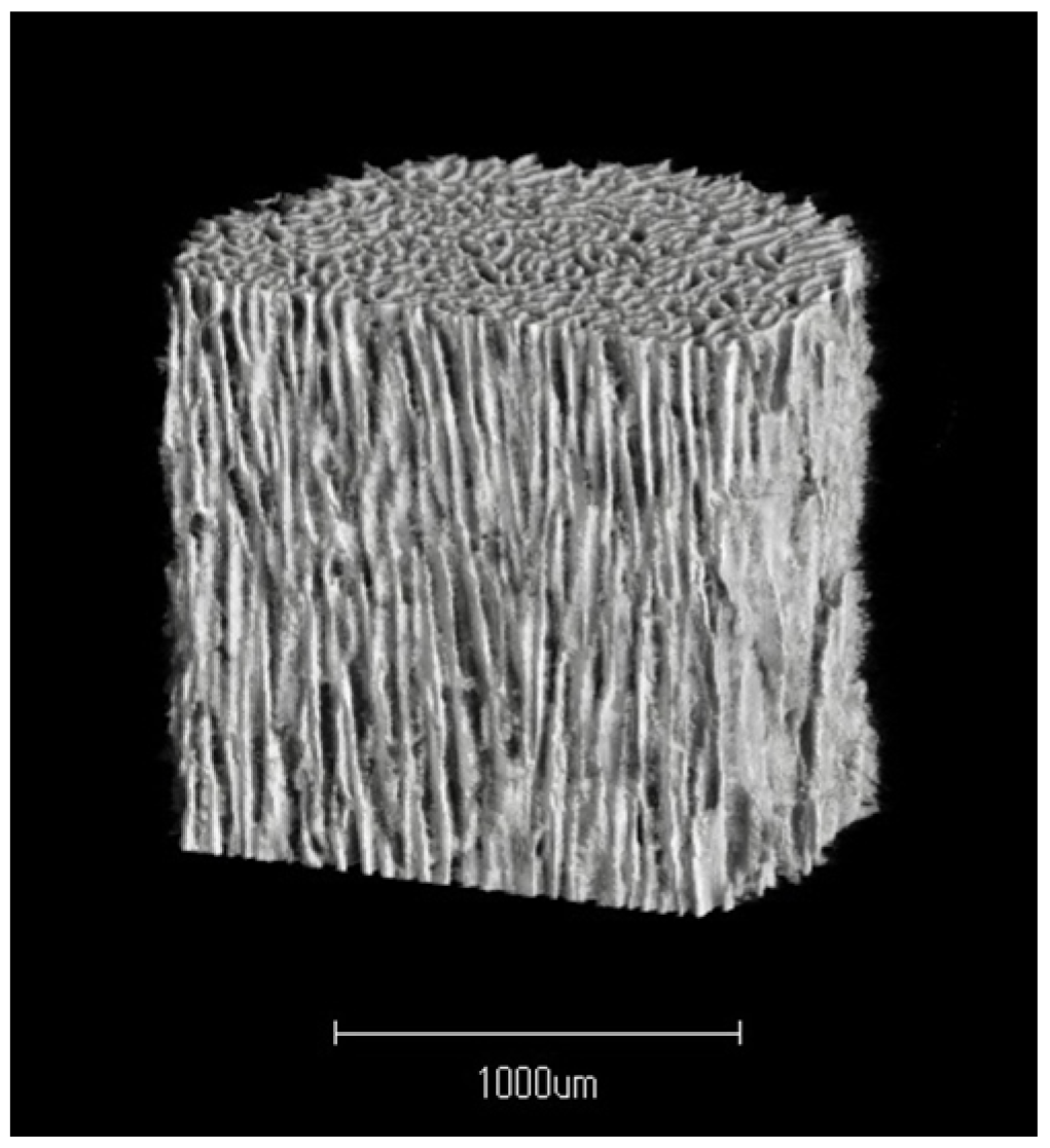 Biomimetics 09 00294 g001