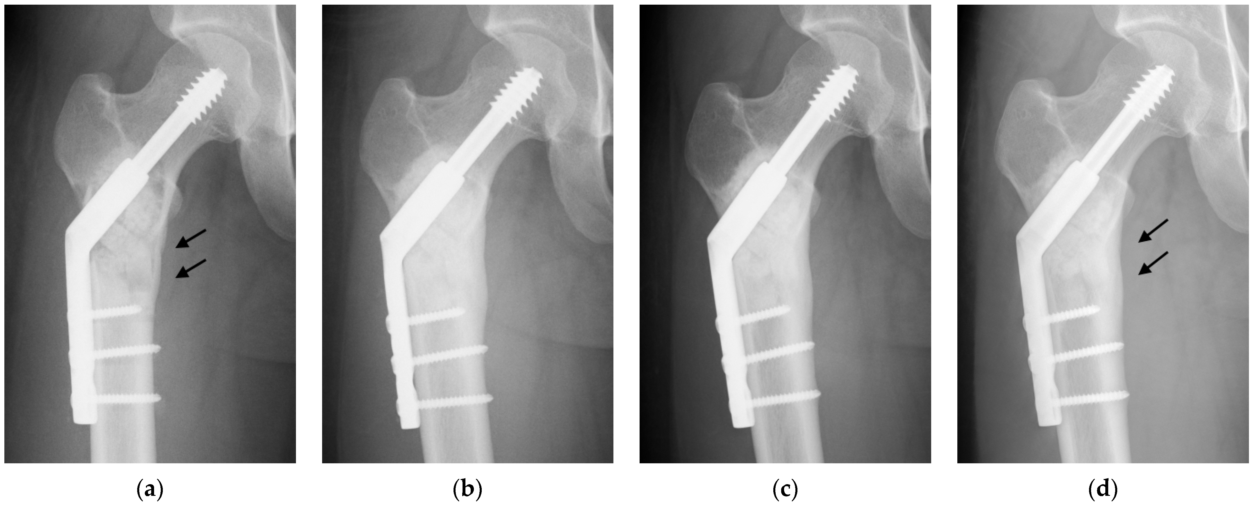 Biomimetics 09 00294 g002