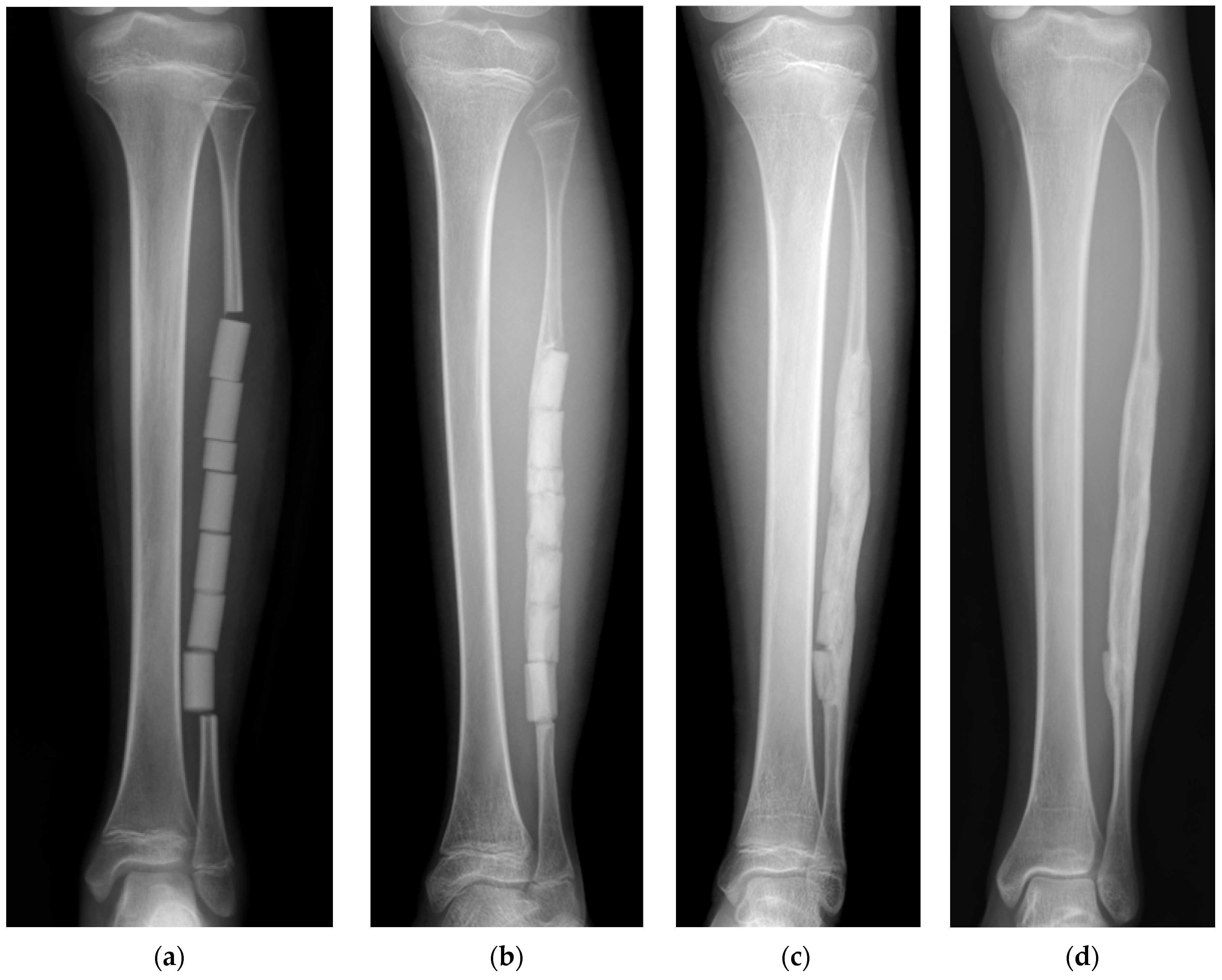 Biomimetics 09 00294 g003
