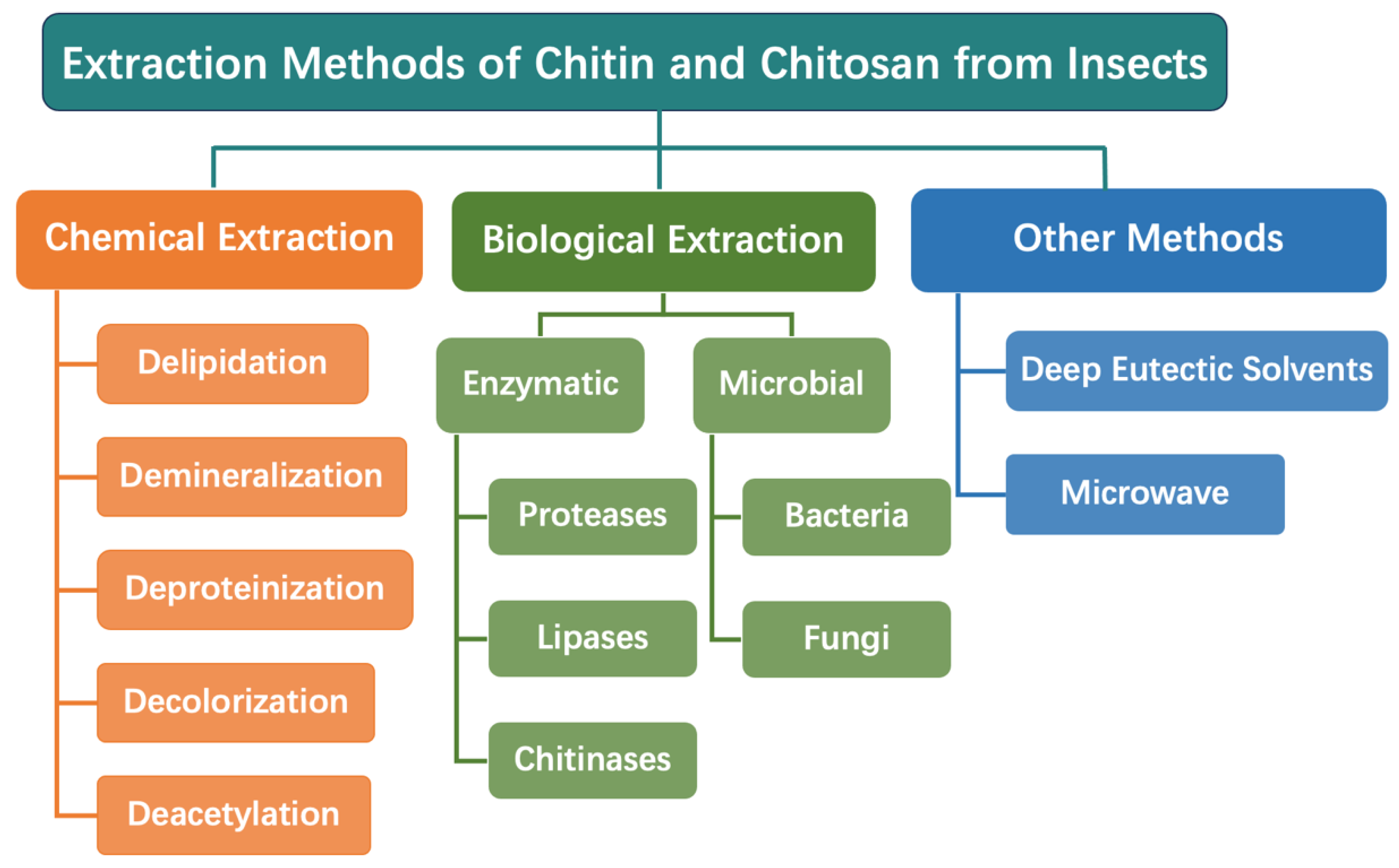 Biomimetics 09 00297 g003