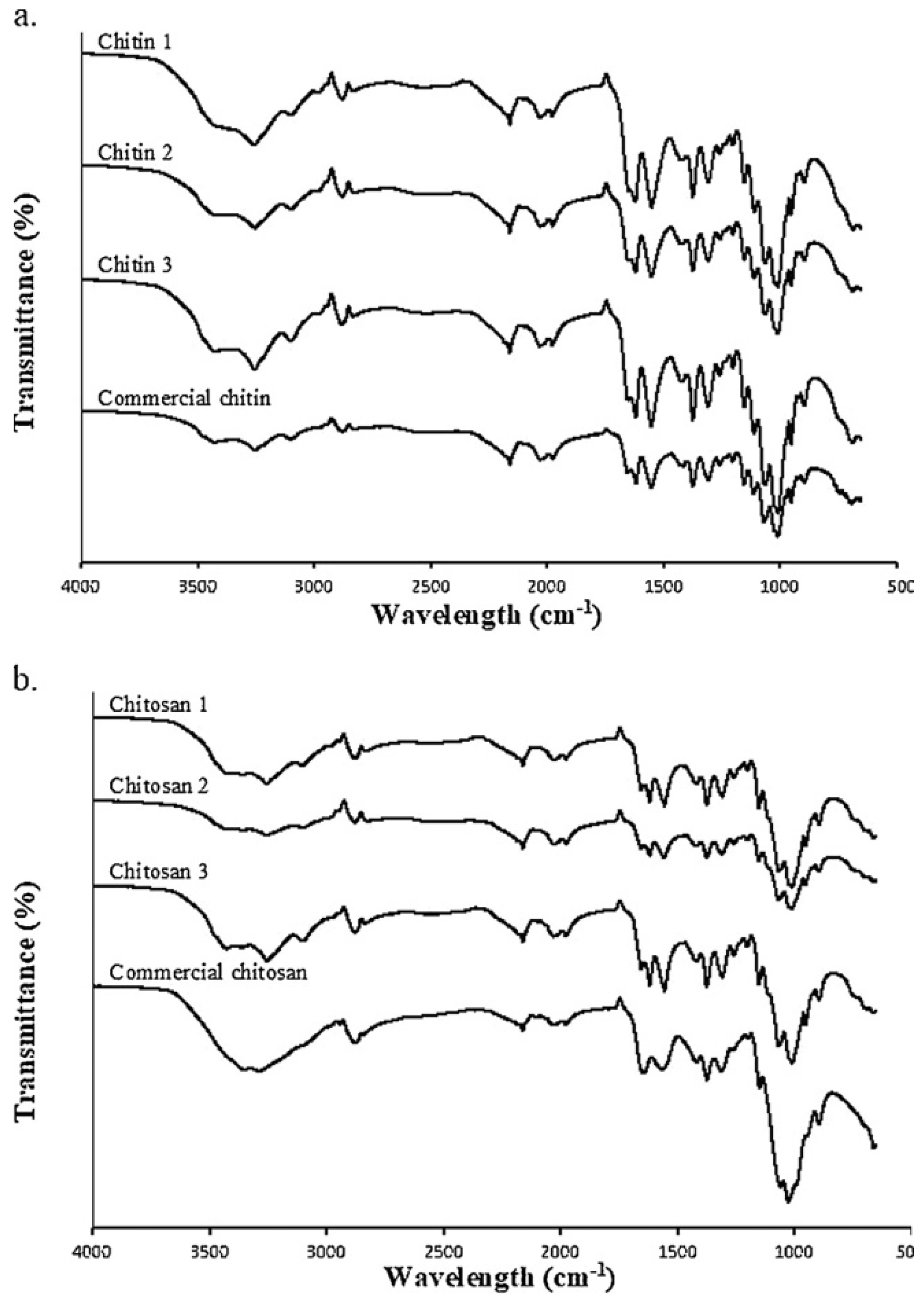 Biomimetics 09 00297 g004