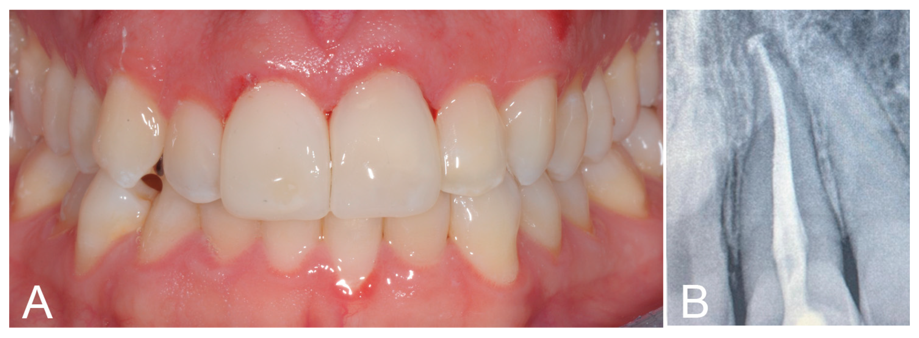 Biomimetics 09 00299 g004