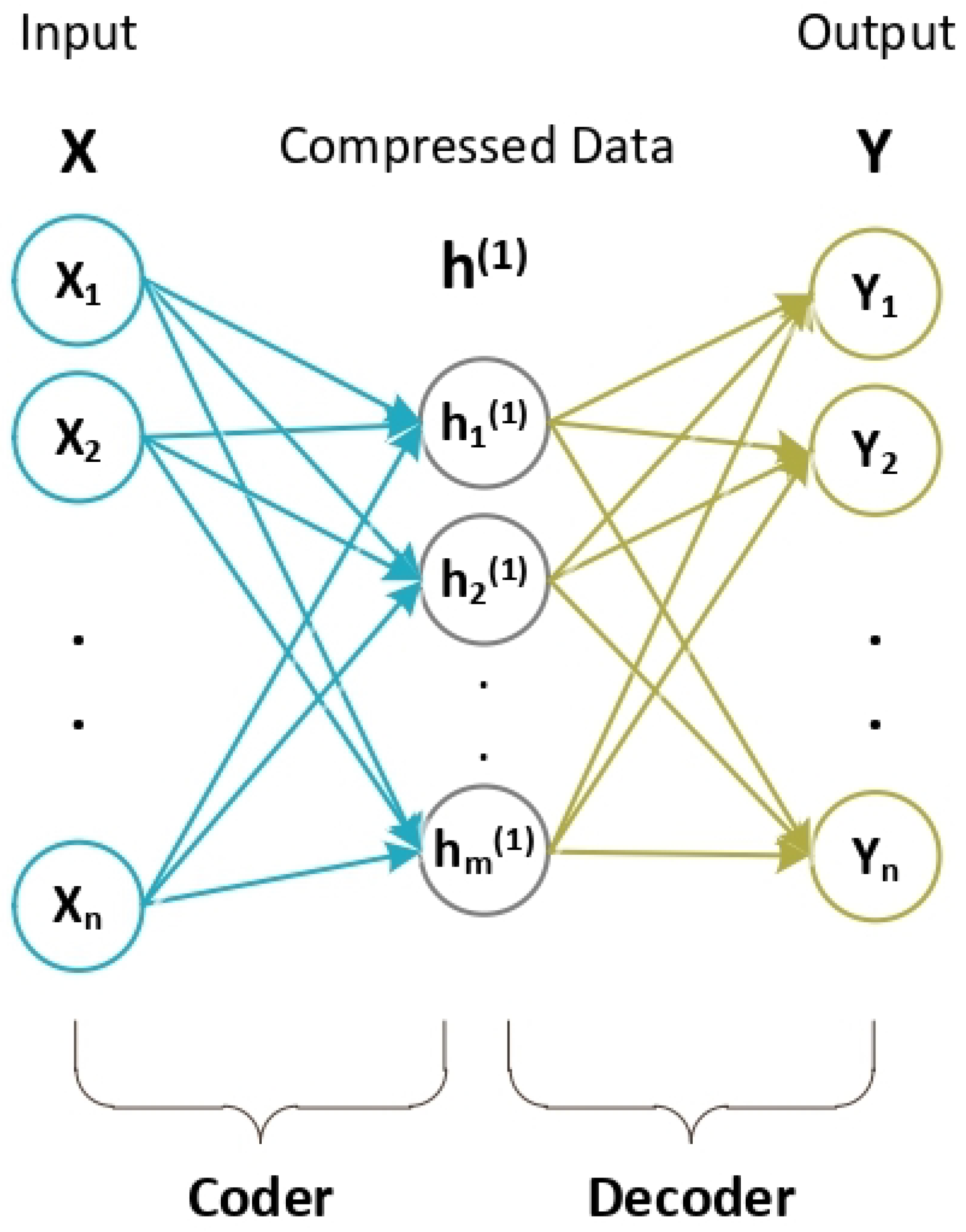 Biomimetics 09 00304 g002