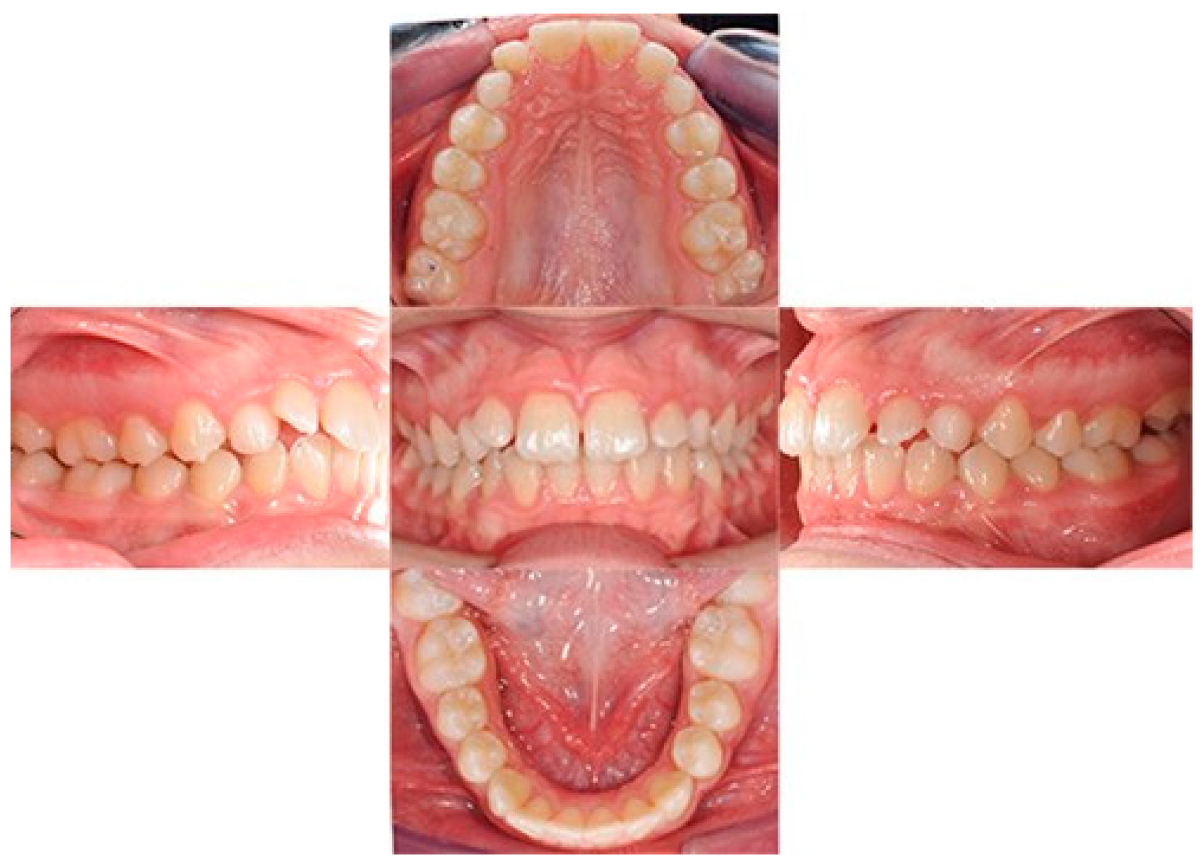 Biomimetics 09 00305 g001