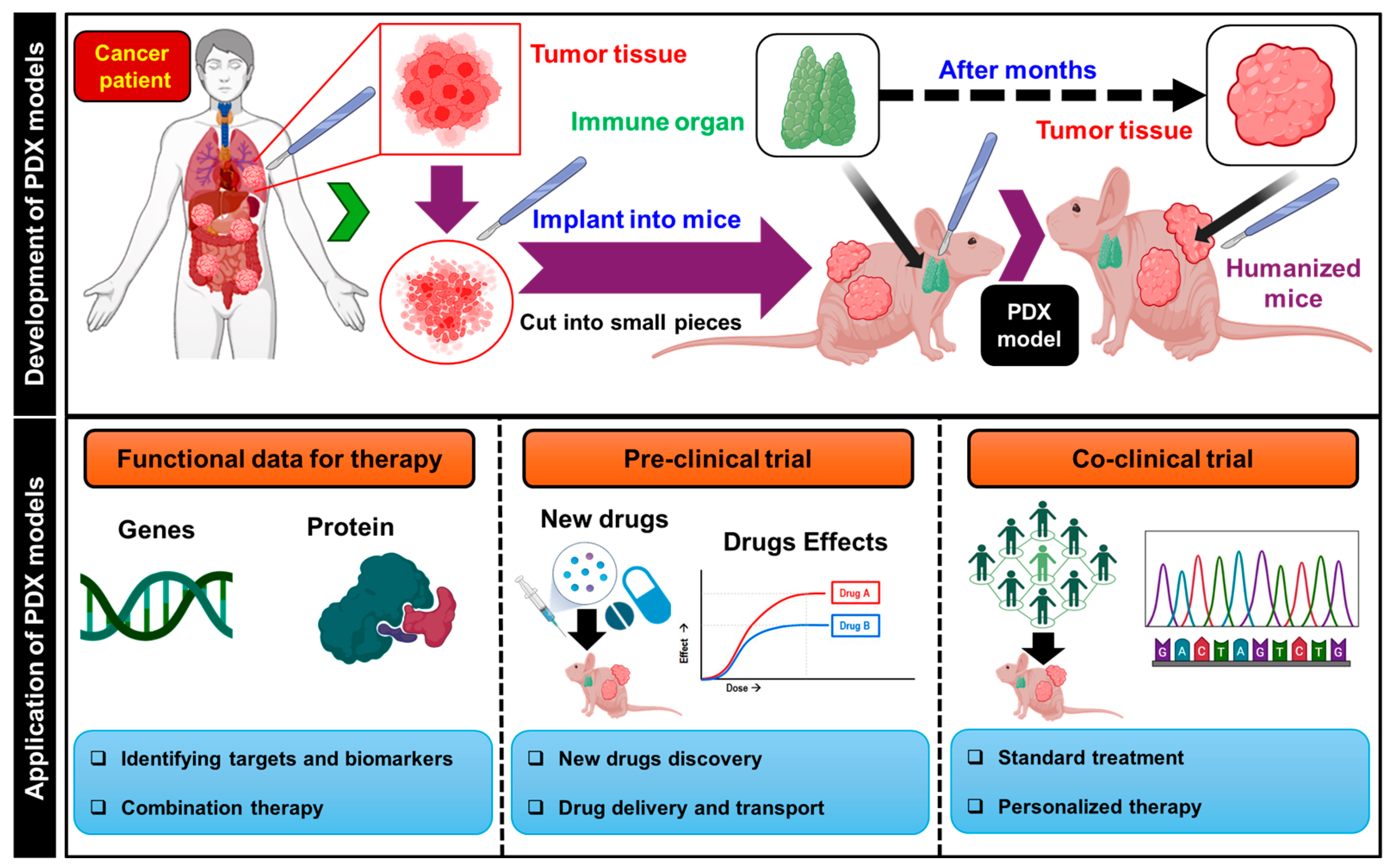 Biomimetics 09 00306 g002