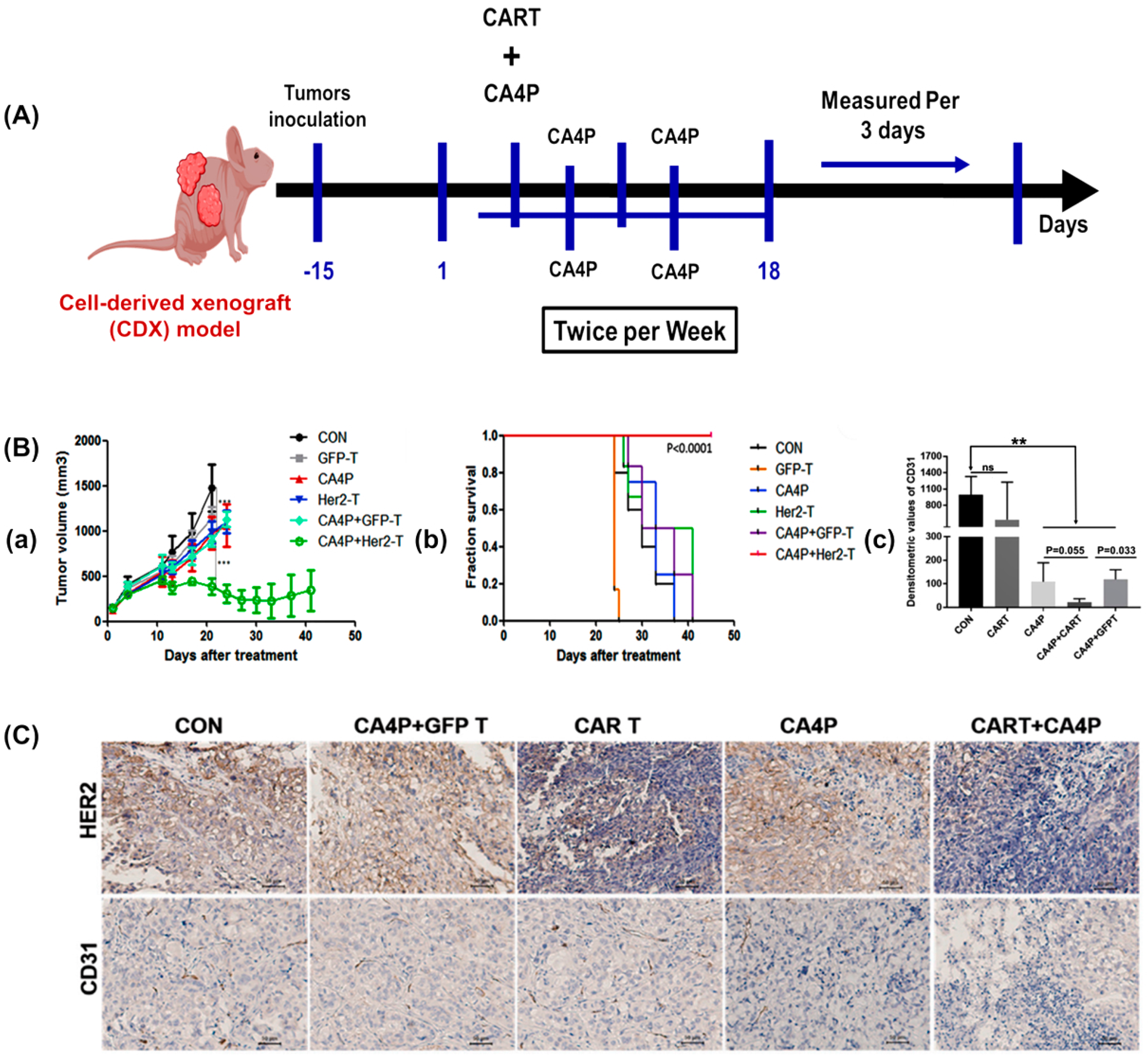 Biomimetics 09 00306 g003
