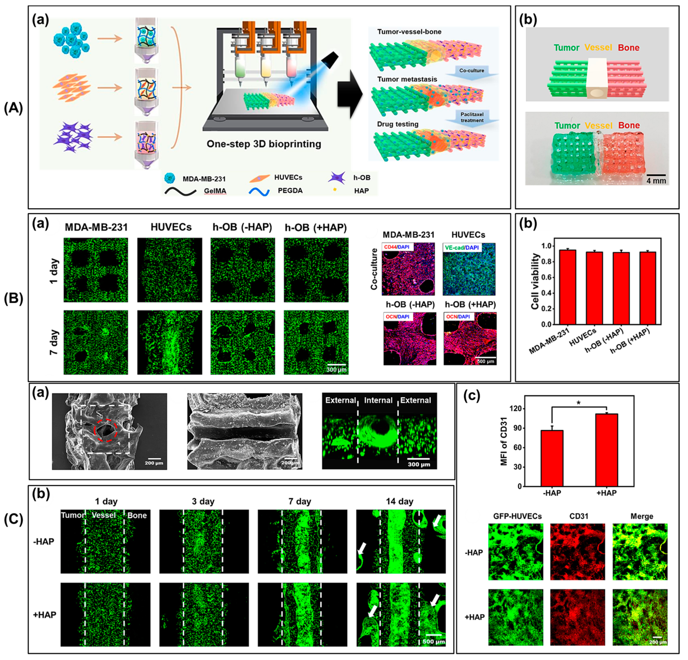 Biomimetics 09 00306 g005