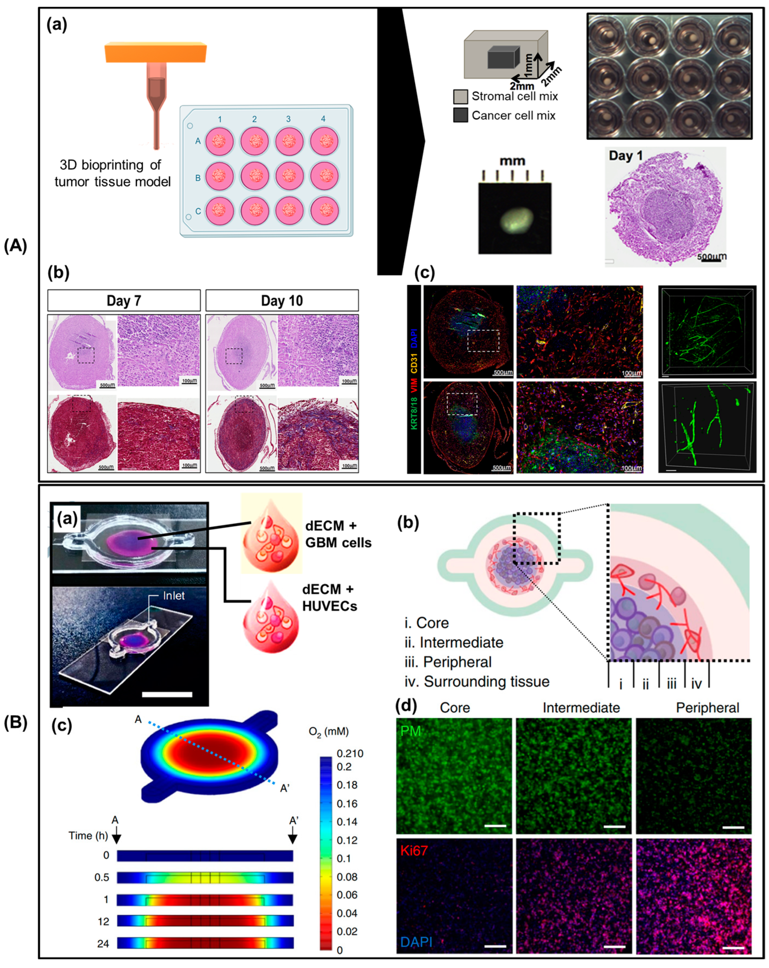 Biomimetics 09 00306 g006