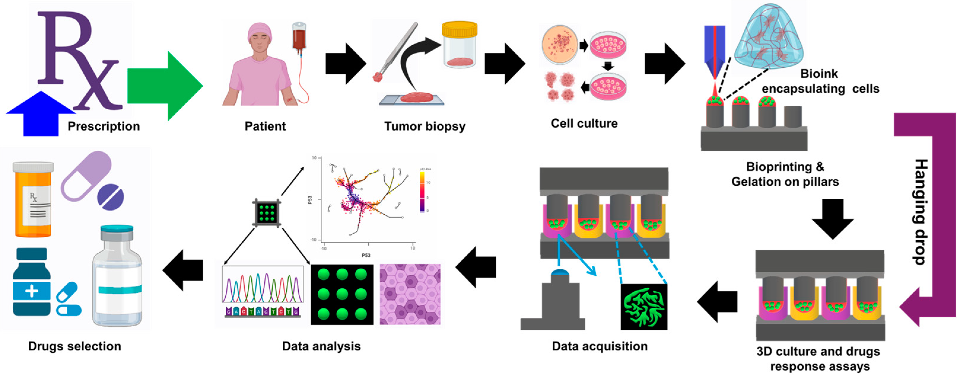 Biomimetics 09 00306 g007