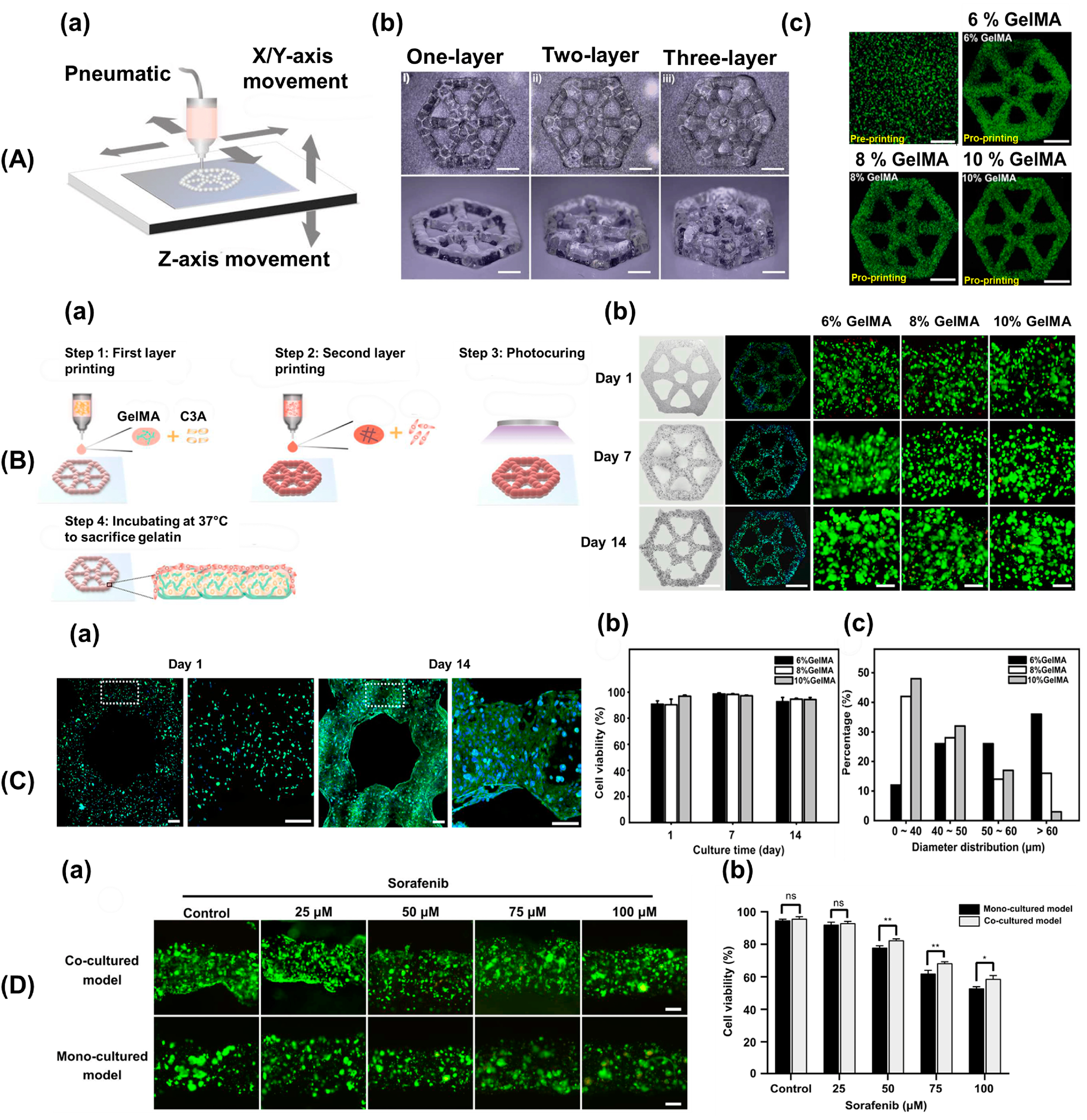 Biomimetics 09 00306 g008