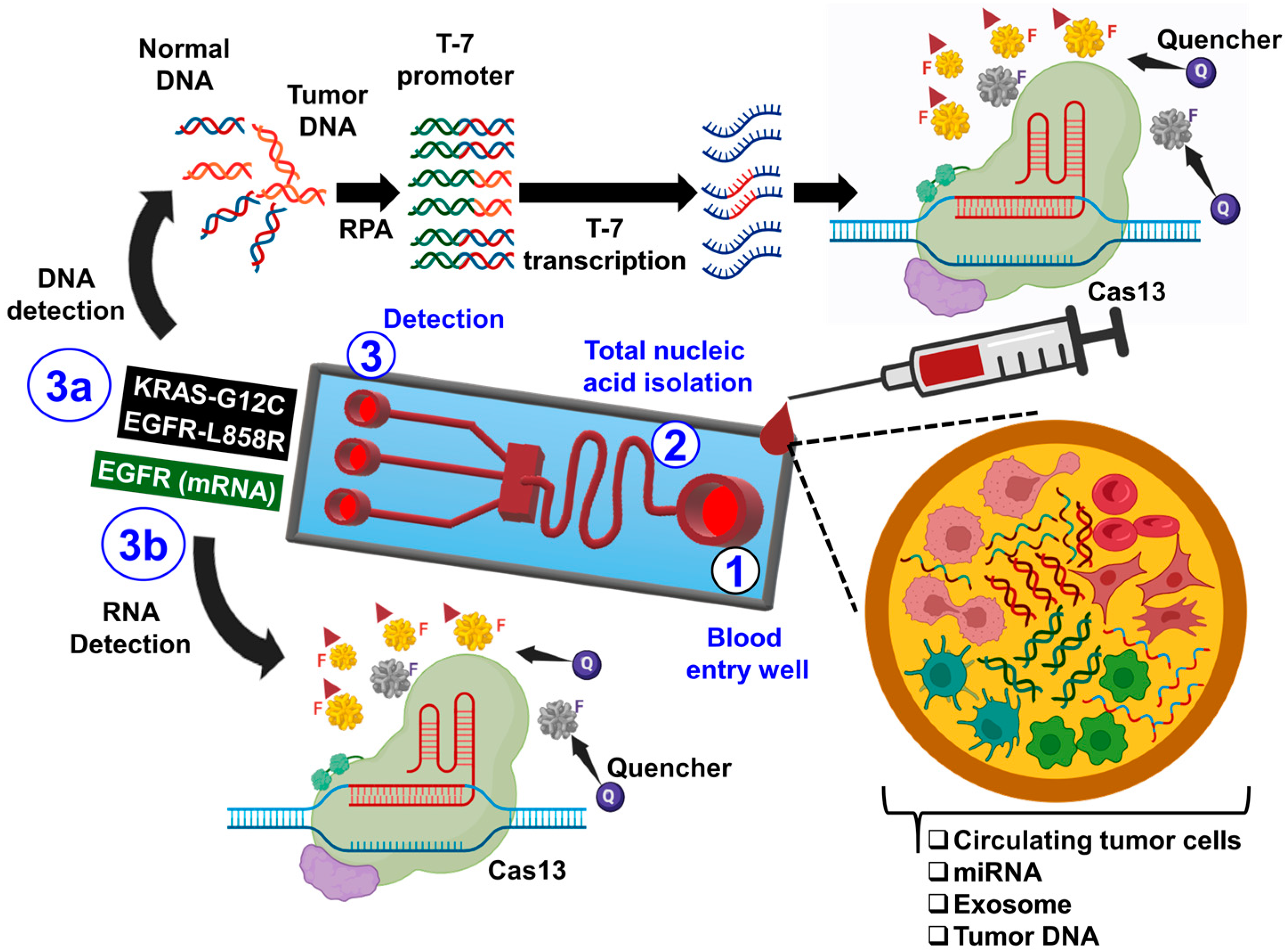 Biomimetics 09 00306 g009