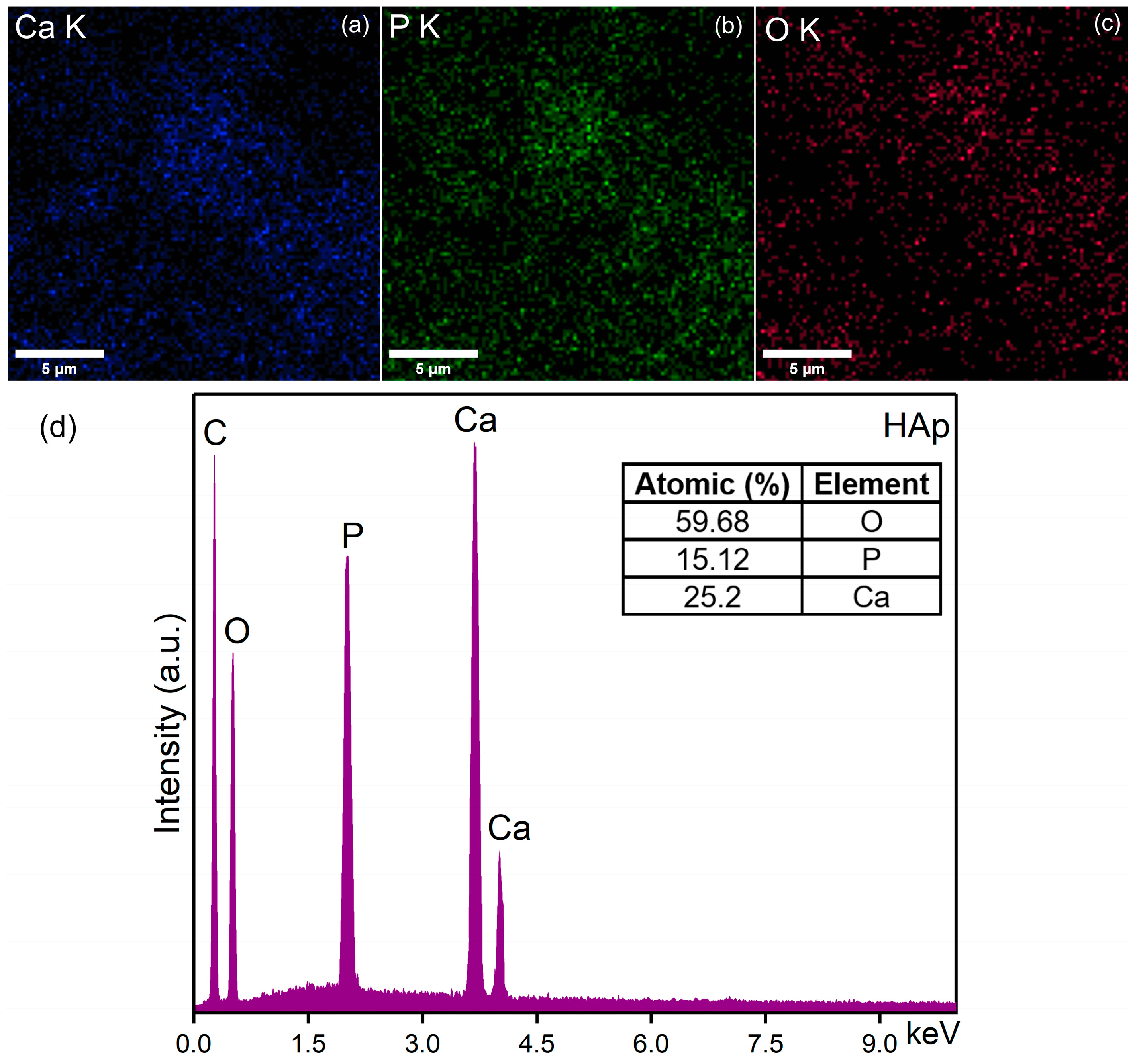 Biomimetics 09 00309 g006