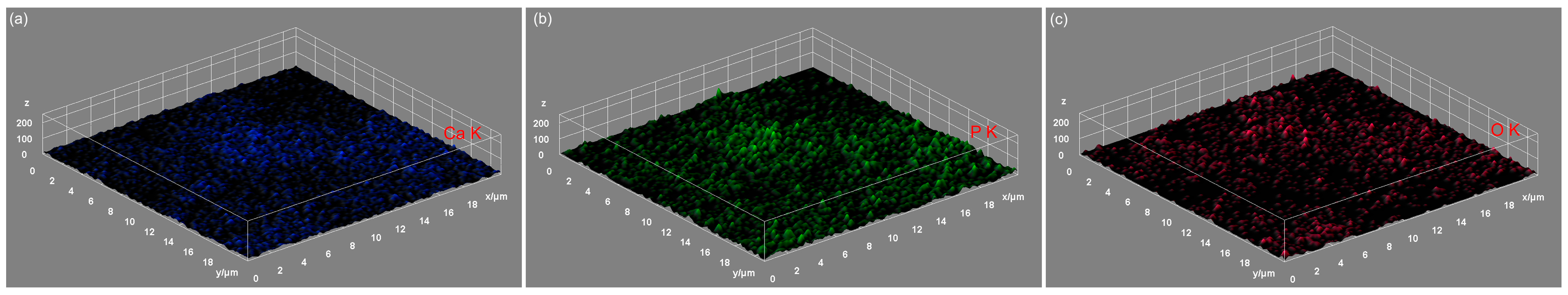 Biomimetics 09 00309 g008