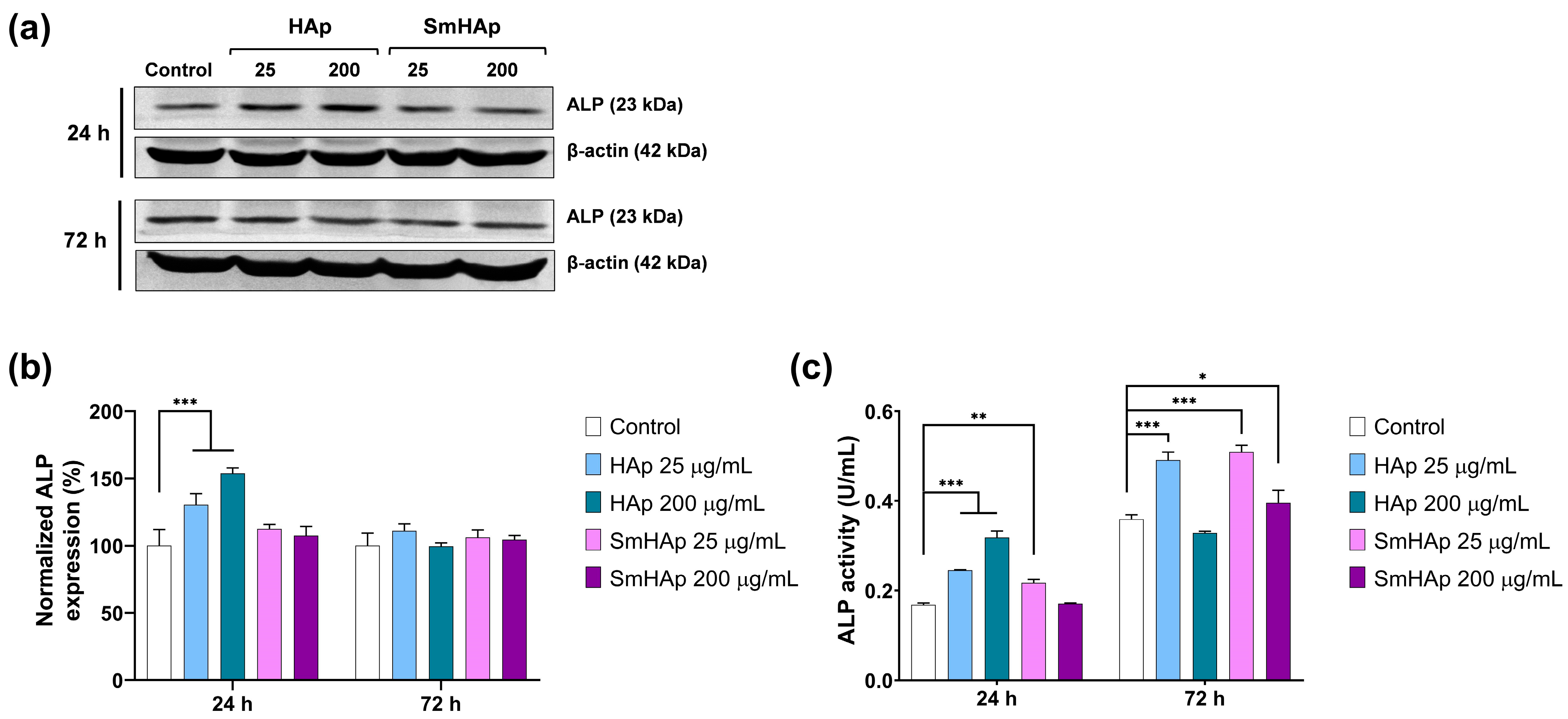 Biomimetics 09 00309 g013