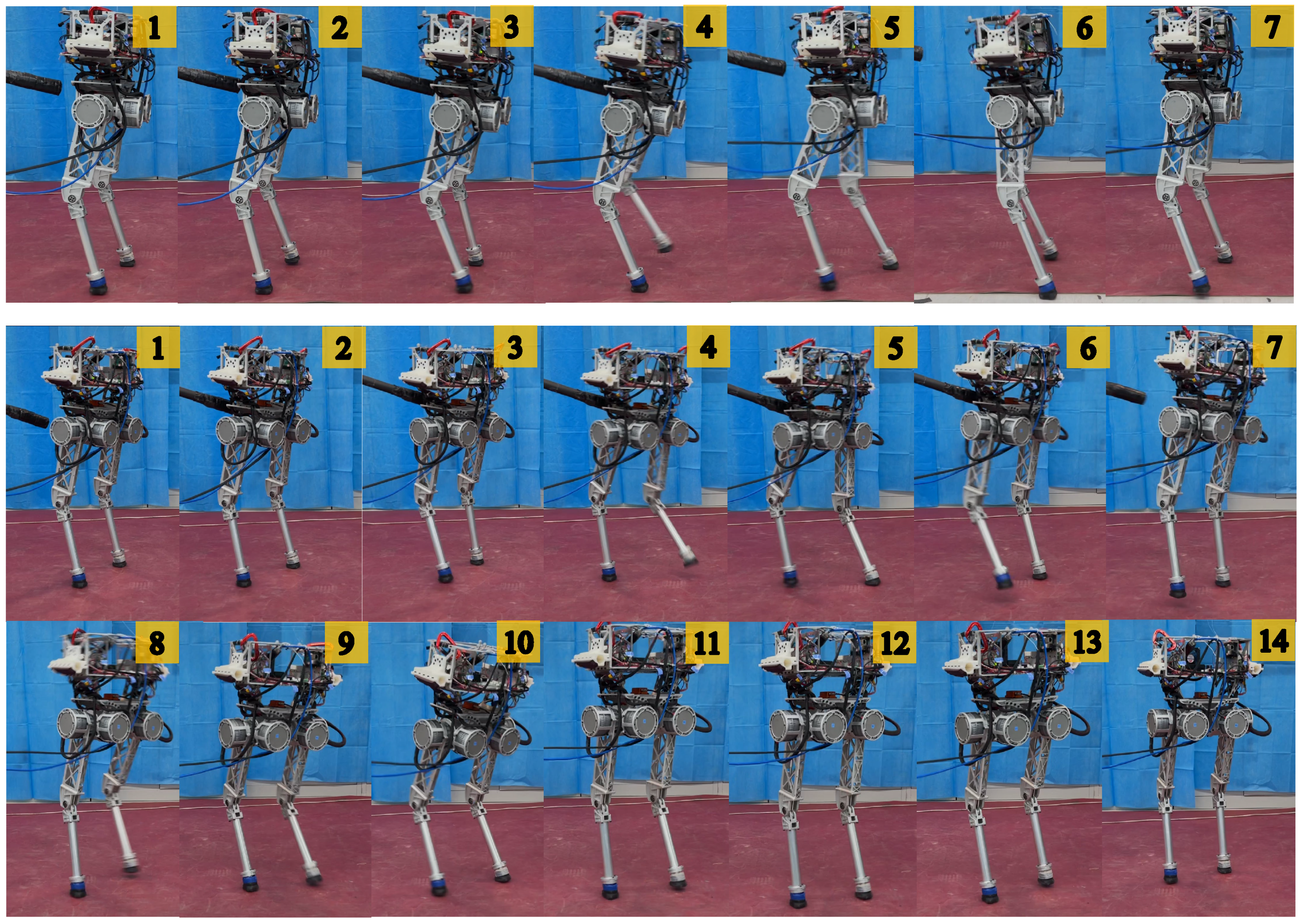 Biomimetics 09 00310 g005
