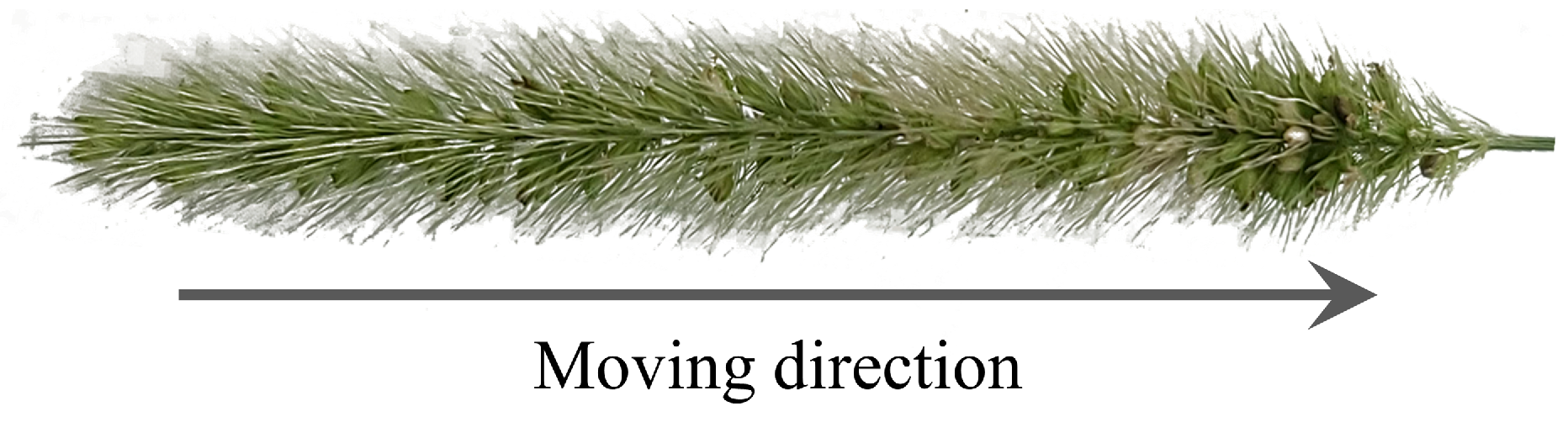 Biomimetics 09 00311 g001