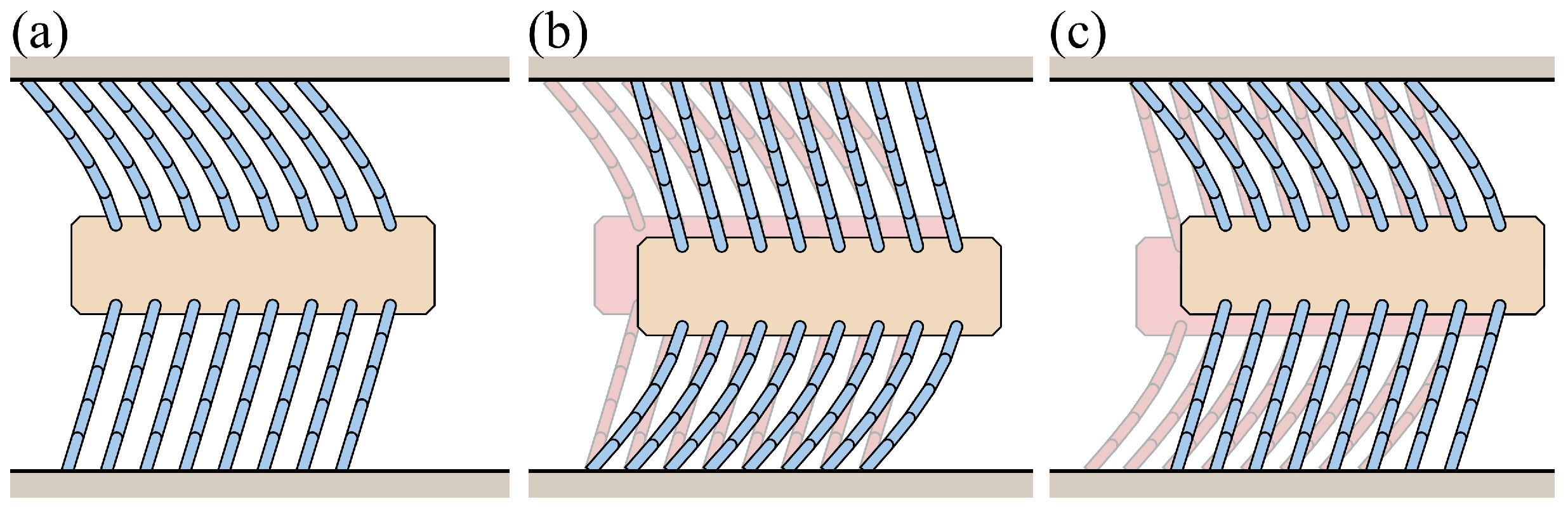 Biomimetics 09 00311 g022