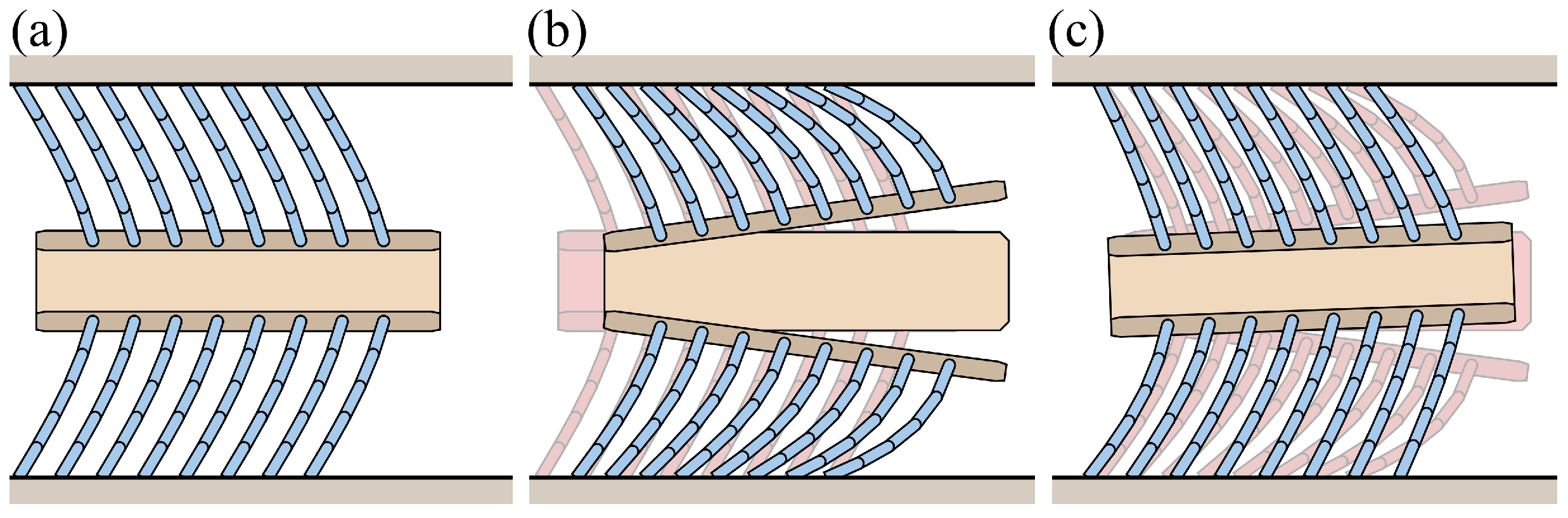 Biomimetics 09 00311 g028