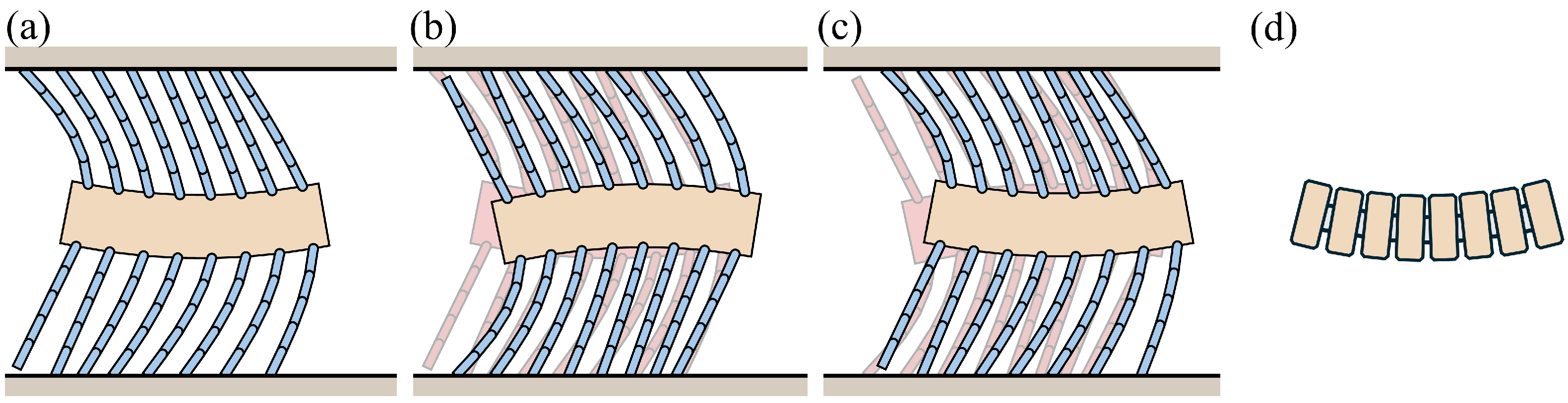 Biomimetics 09 00311 g032