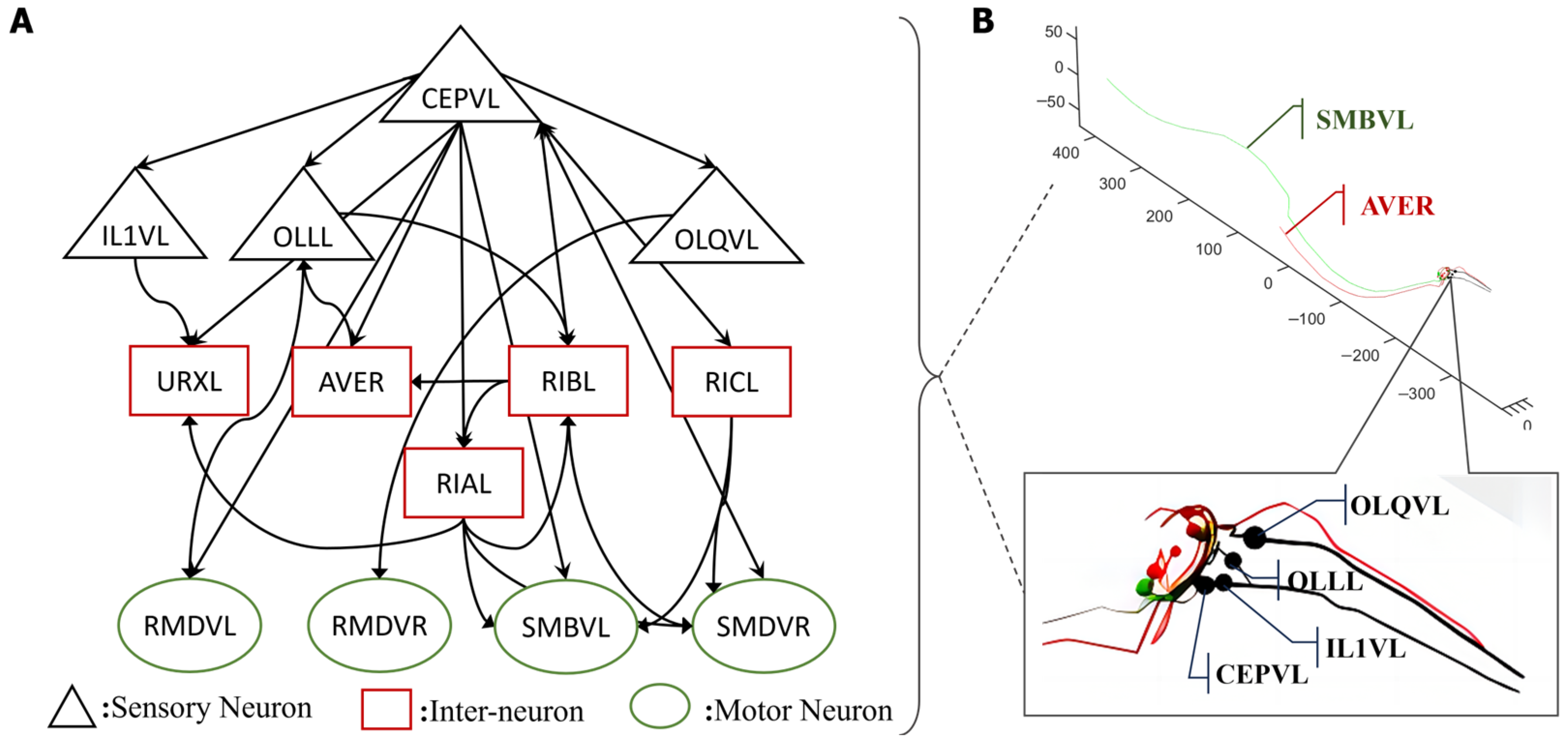 Biomimetics 09 00314 g001