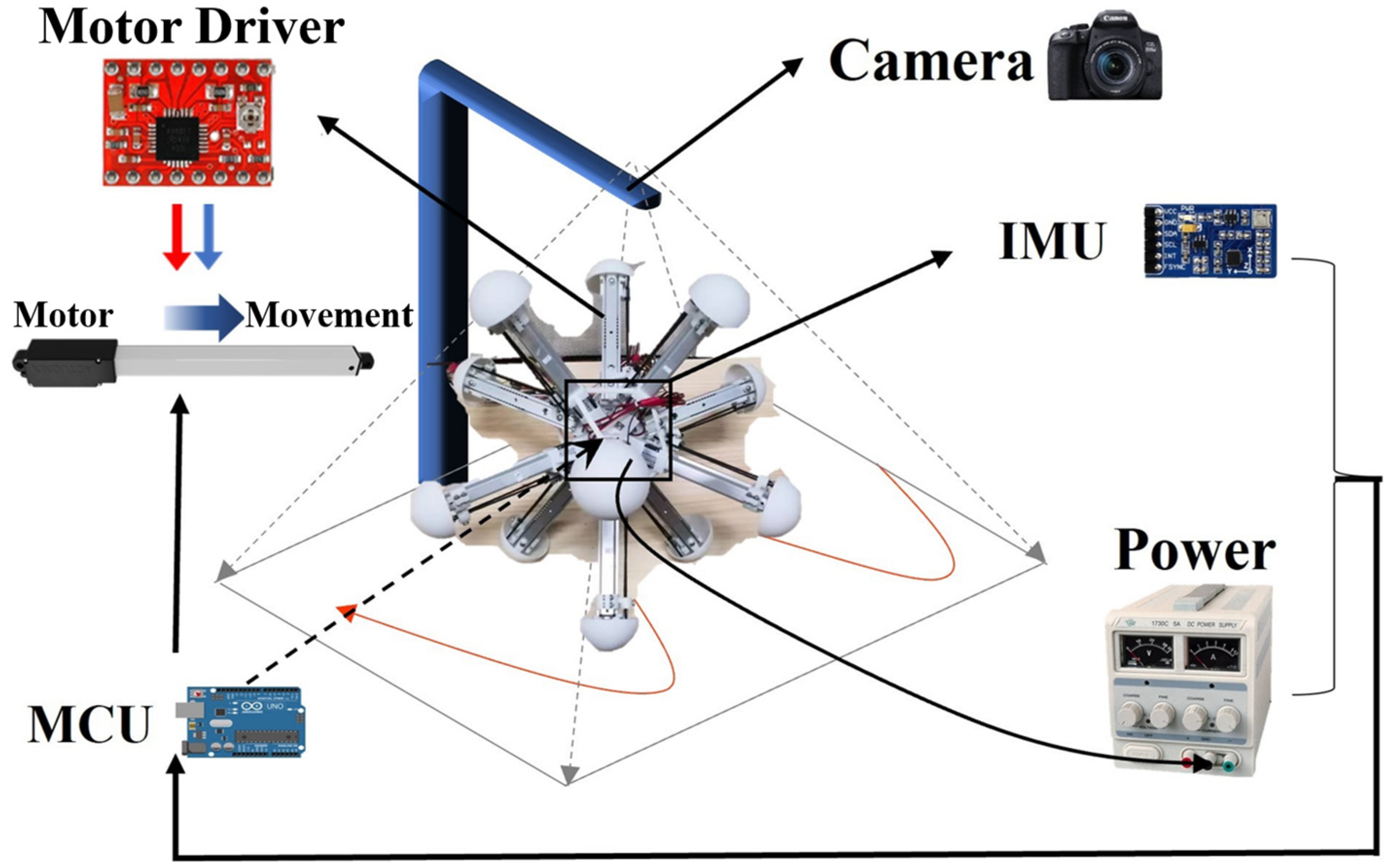 Biomimetics 09 00314 g004