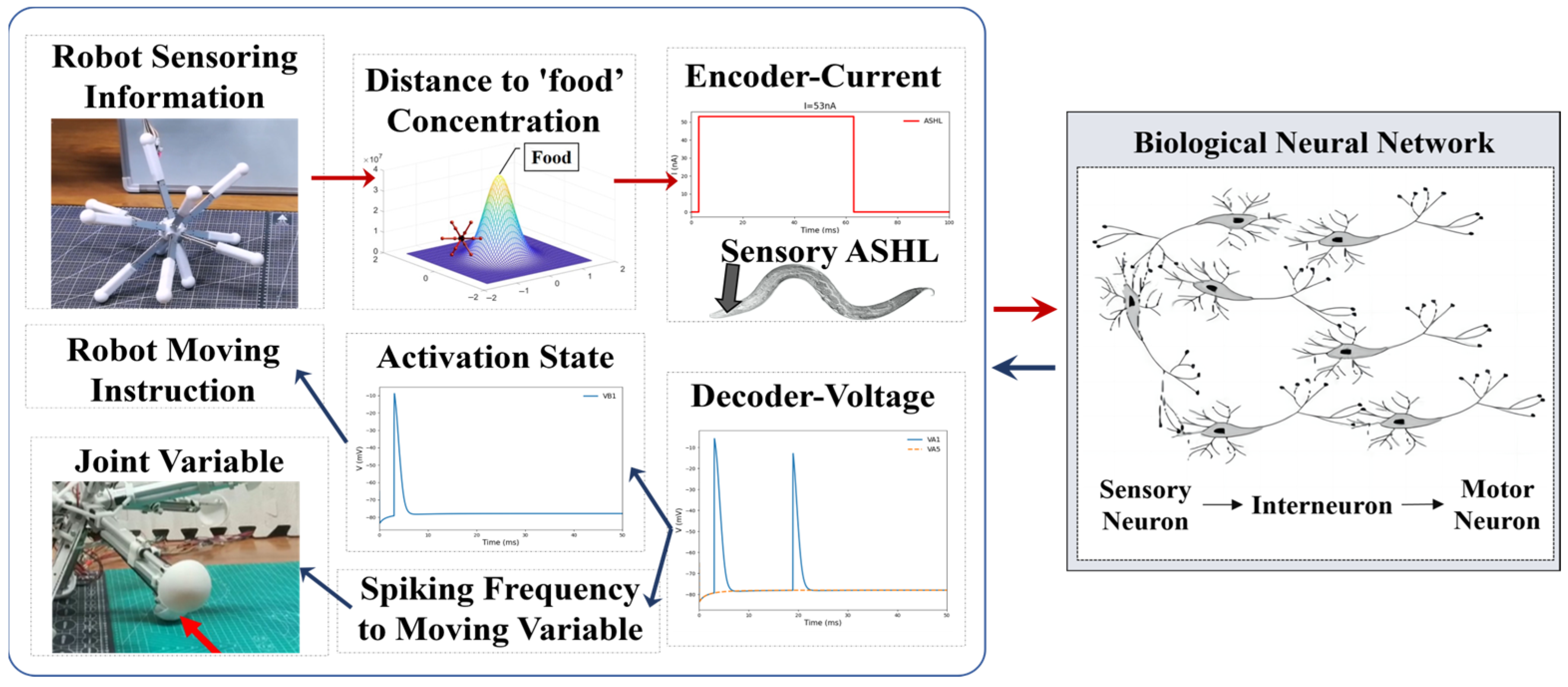 Biomimetics 09 00314 g006