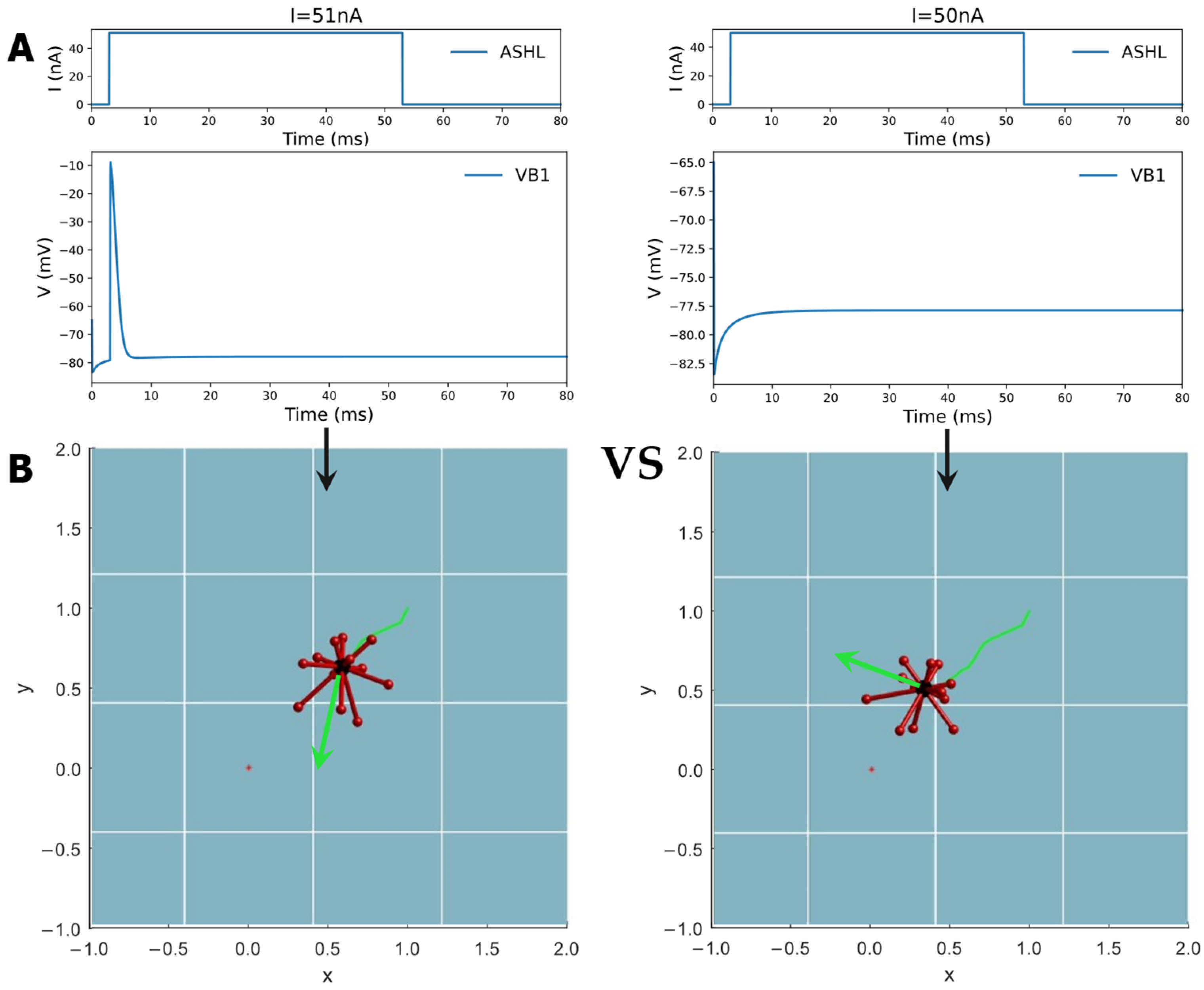 Biomimetics 09 00314 g007