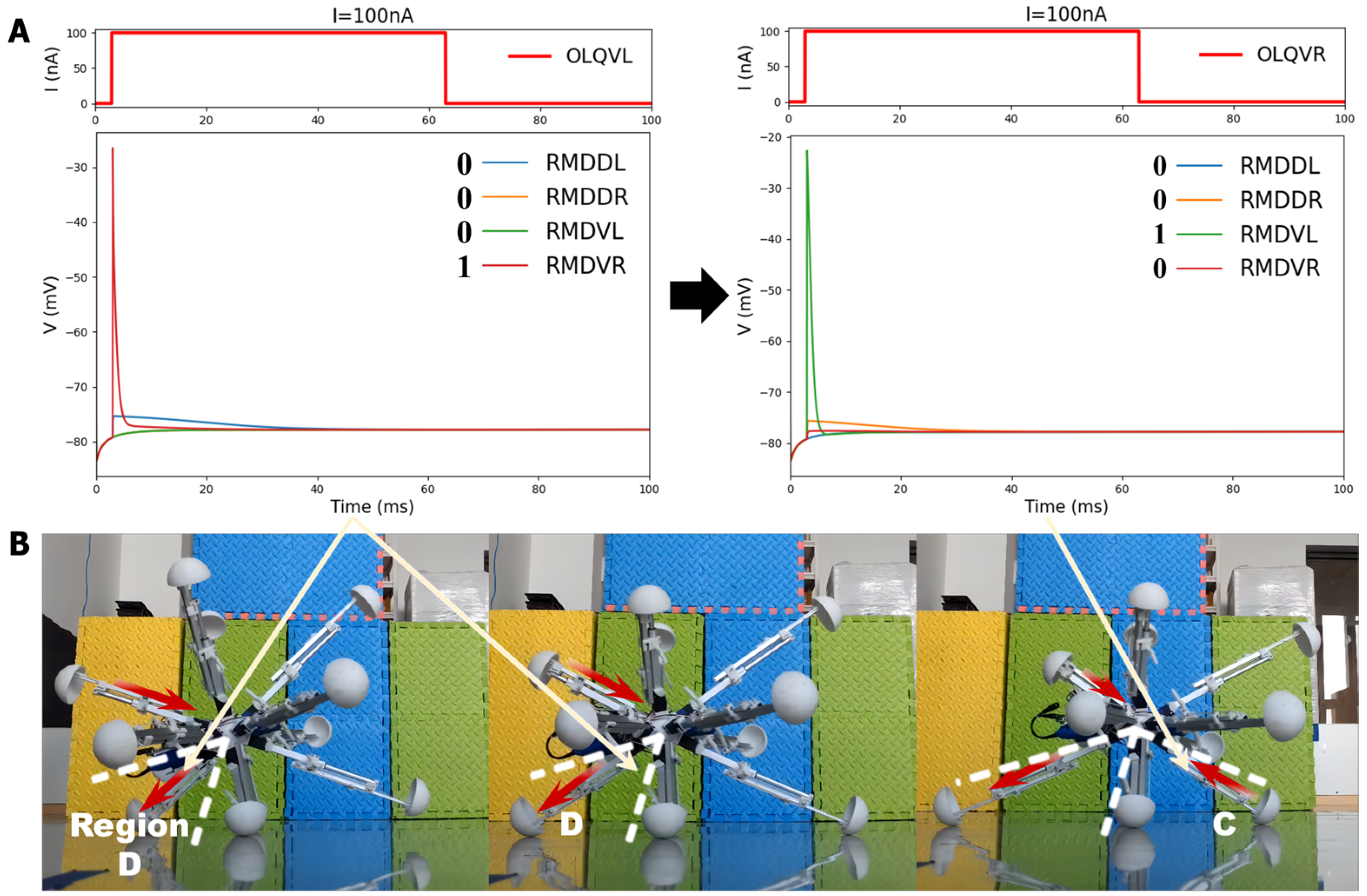 Biomimetics 09 00314 g012