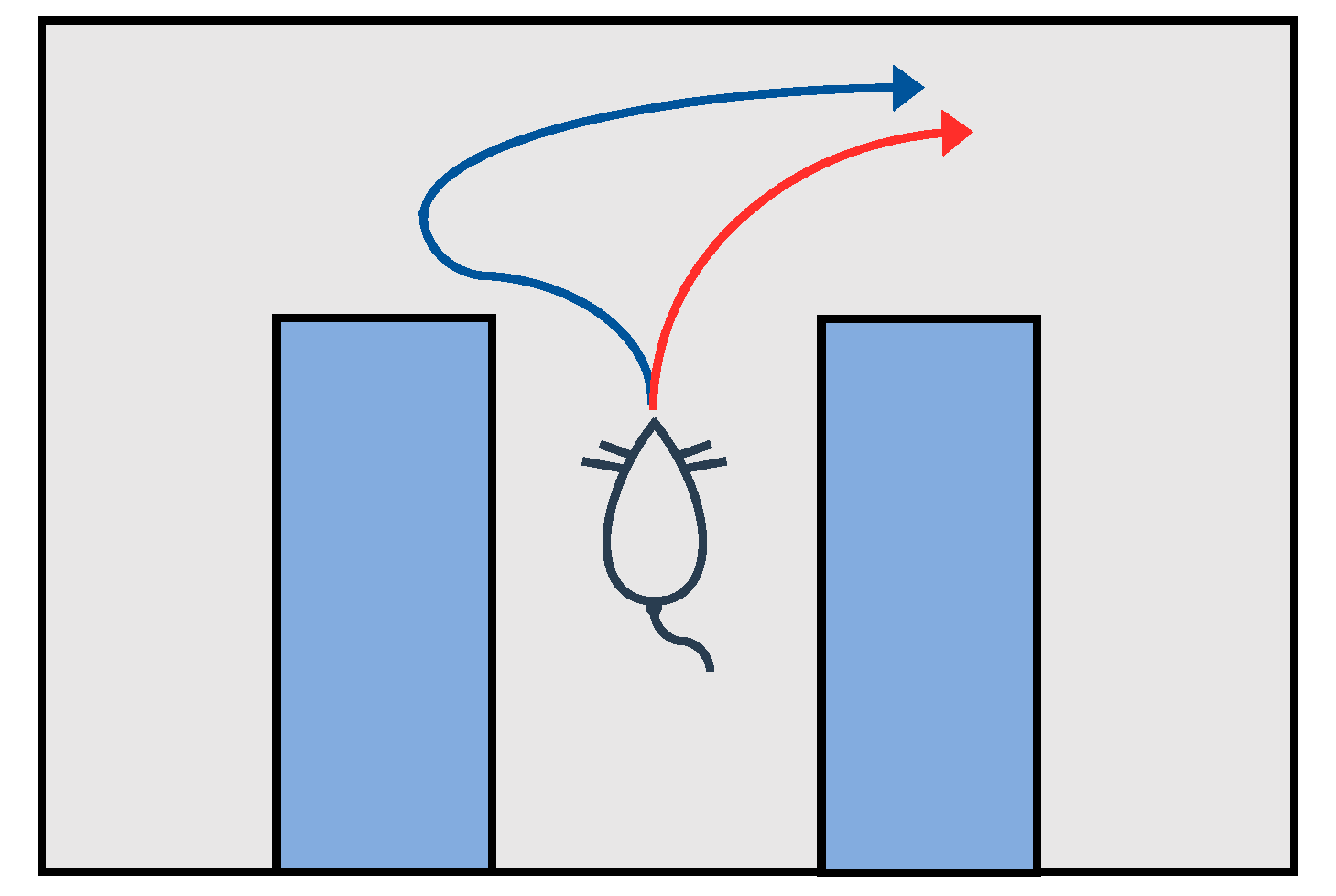 Biomimetics 09 00315 g001
