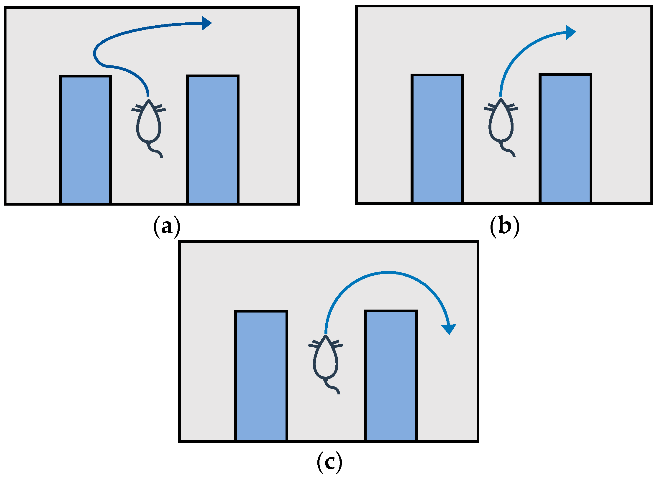 Biomimetics 09 00315 g002