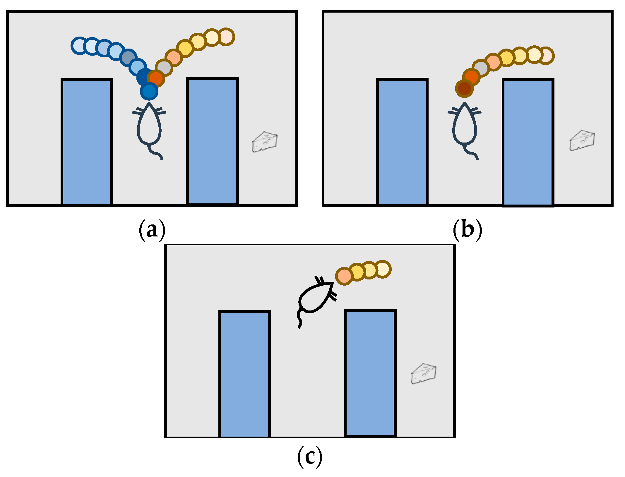 Biomimetics 09 00315 g003