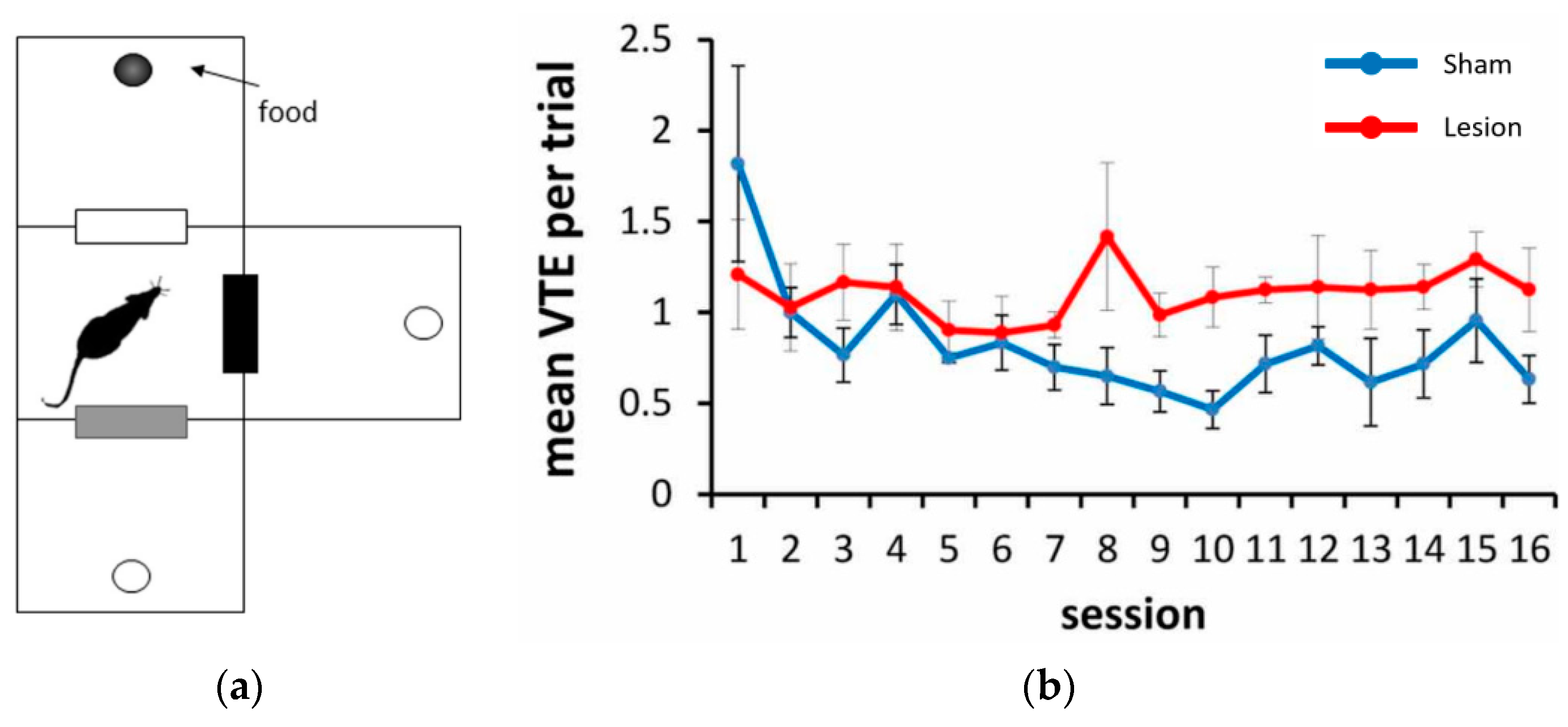 Biomimetics 09 00315 g013