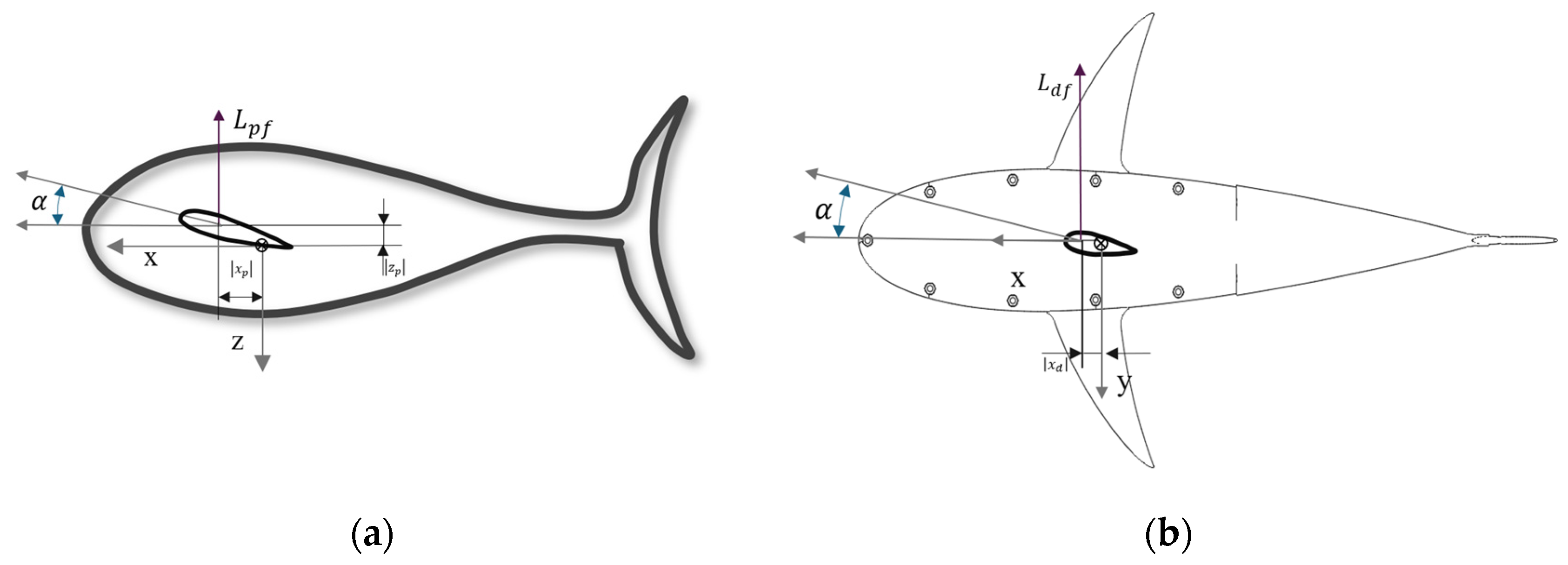 Biomimetics 09 00317 g003