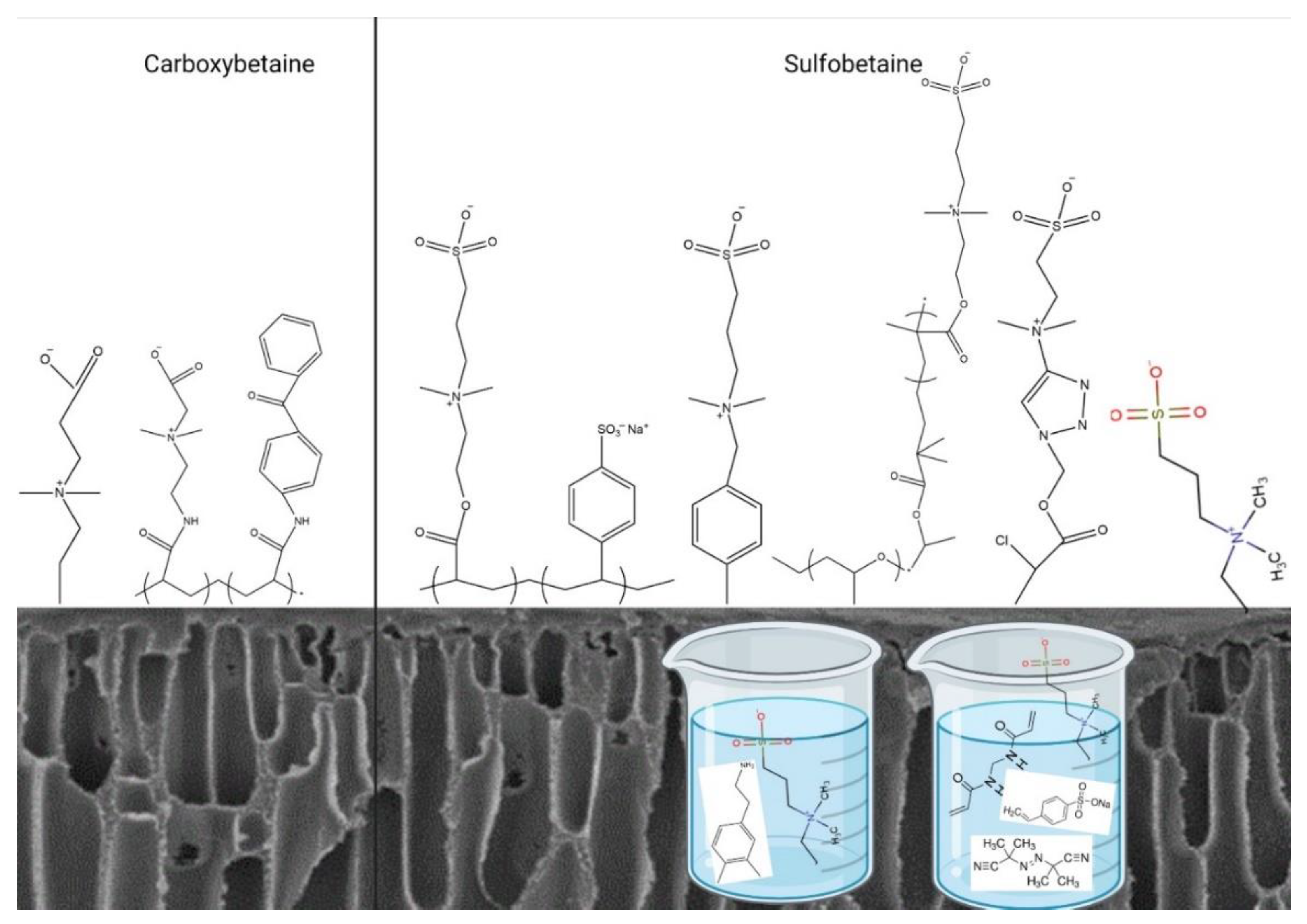 Biomimetics 09 00320 g001