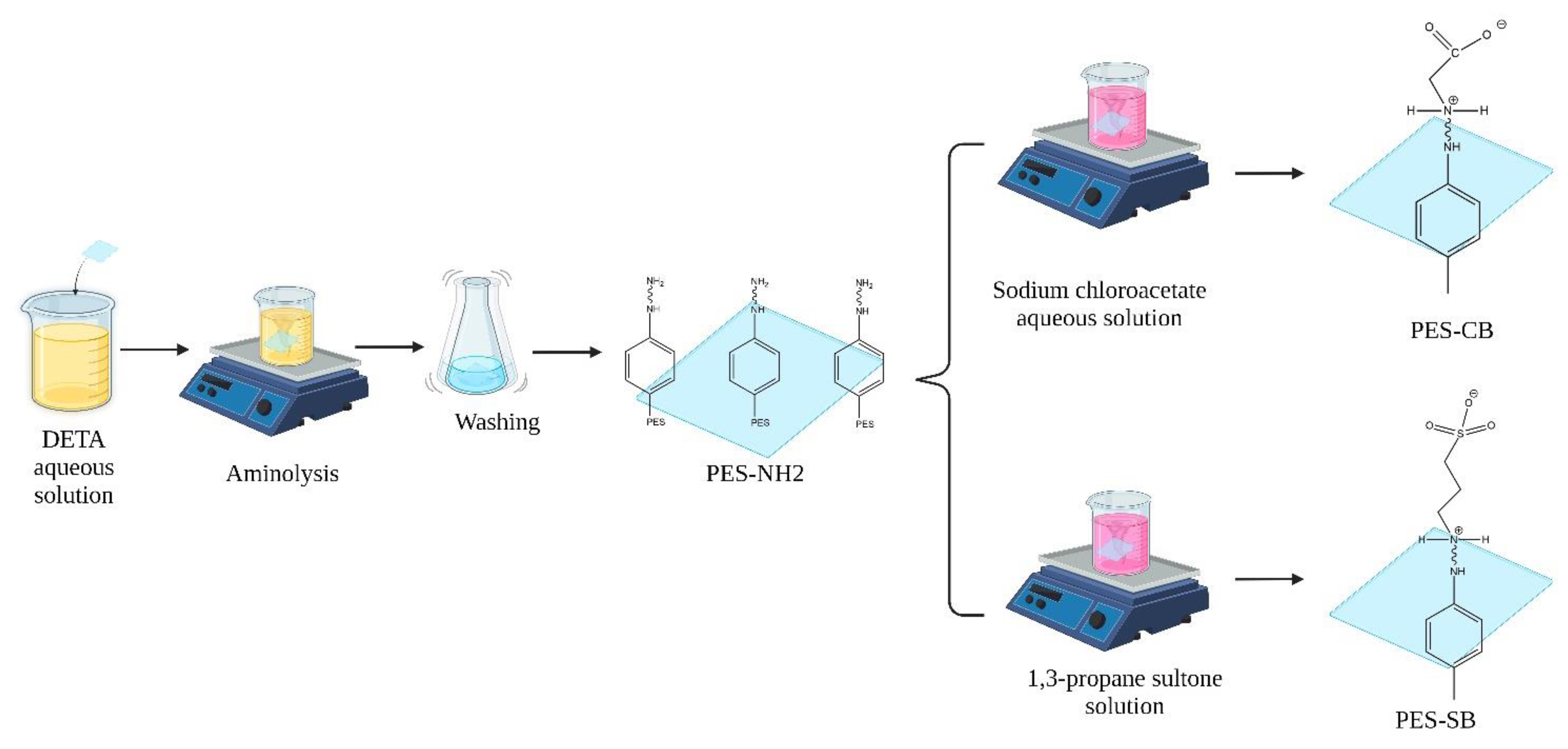 Biomimetics 09 00320 g002