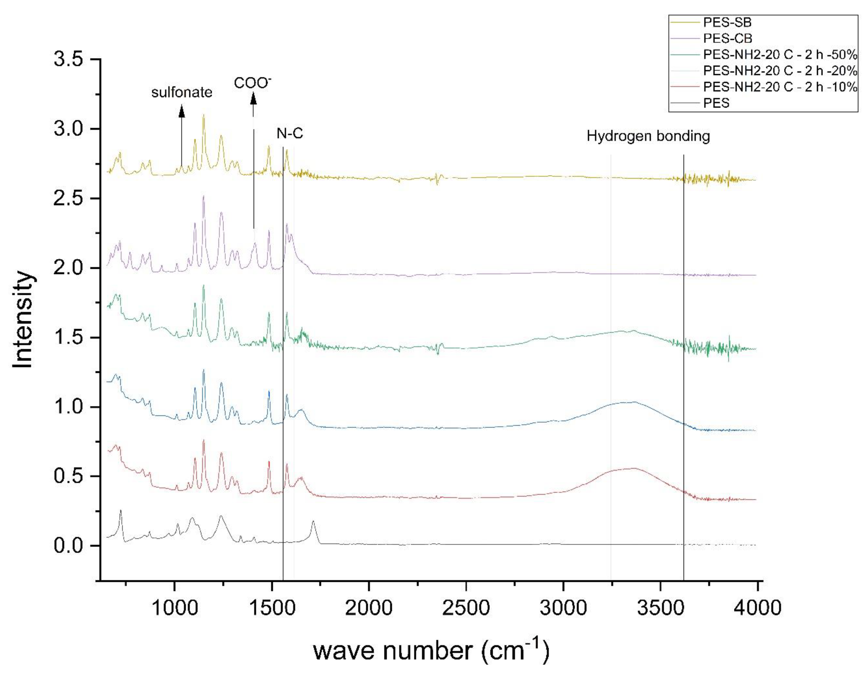 Biomimetics 09 00320 g003