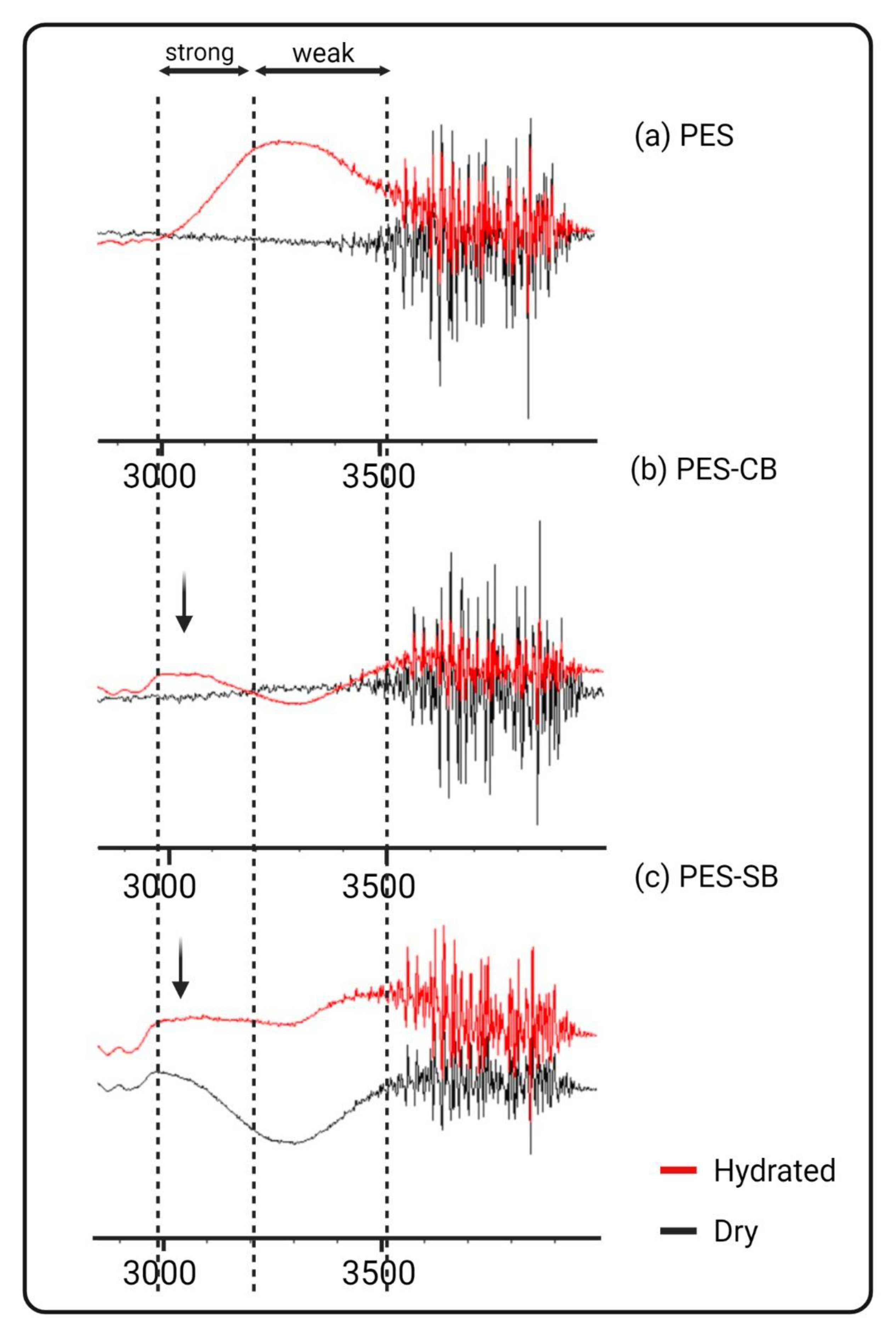 Biomimetics 09 00320 g007